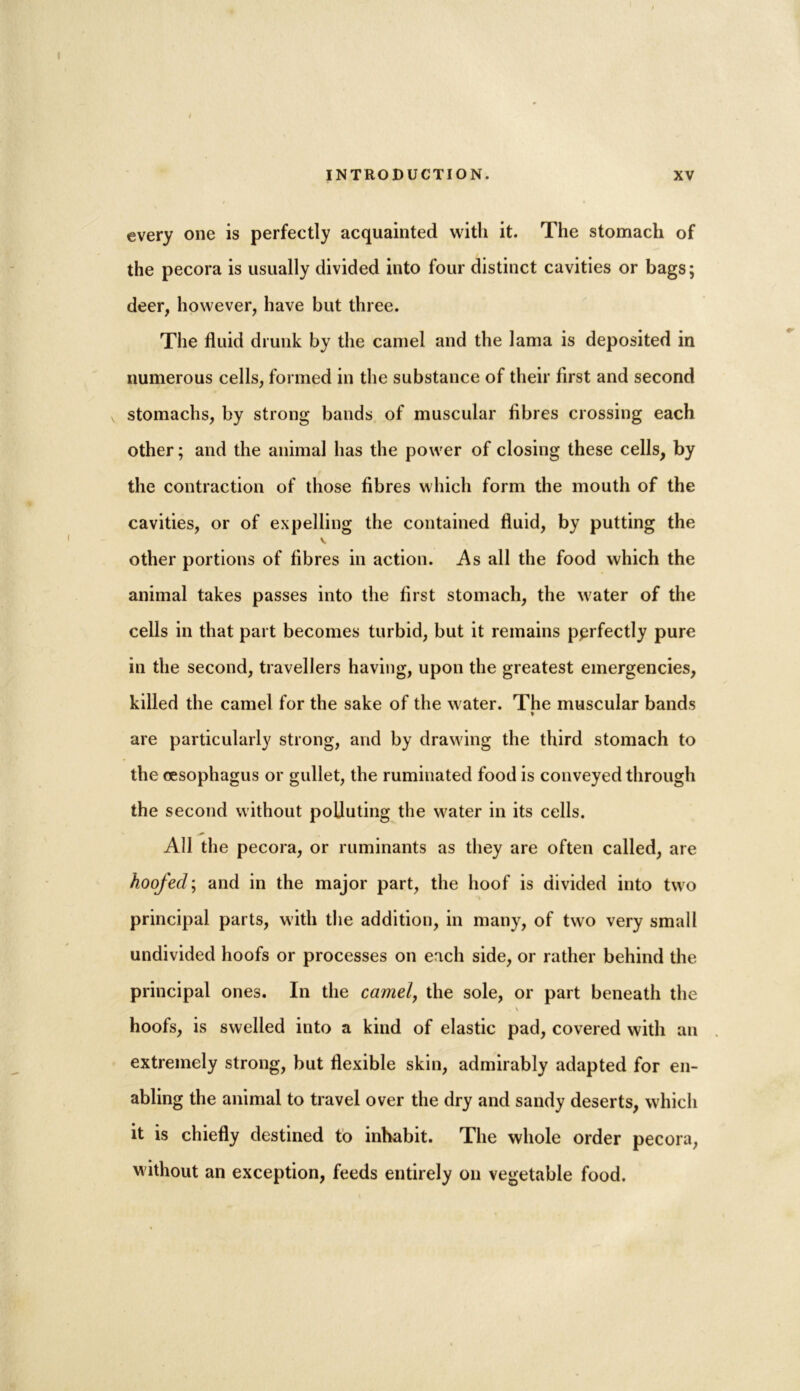 every one is perfectly acquainted with it. The stomach of the pecora is usually divided into four distinct cavities or bags; deer, however, have but three. The fluid drunk by the camel and the lama is deposited in numerous cells, formed in the substance of their first and second stomachs, by strong bands of muscular fibres crossing each other; and the animal has the power of closing these cells, by the contraction of those fibres which form the mouth of the cavities, or of expelling the contained fluid, by putting the other portions of fibres in action. As all the food which the animal takes passes into the first stomach, the water of the cells in that part becomes turbid, but it remains perfectly pure in the second, travellers having, upon the greatest emergencies, killed the camel for the sake of the water. The muscular bands * are particularly strong, and by drawing the third stomach to the oesophagus or gullet, the ruminated food is conveyed through the second without polluting the water in its cells. All the pecora, or ruminants as they are often called, are hoofed; and in the major part, the hoof is divided into two principal parts, with the addition, in many, of two very small undivided hoofs or processes on each side, or rather behind the principal ones. In the camel, the sole, or part beneath the hoofs, is swelled into a kind of elastic pad, covered with an extremely strong, but flexible skin, admirably adapted for en- abling the animal to travel over the dry and sandy deserts, which it is chiefly destined to inhabit. The whole order pecora, without an exception, feeds entirely on vegetable food.