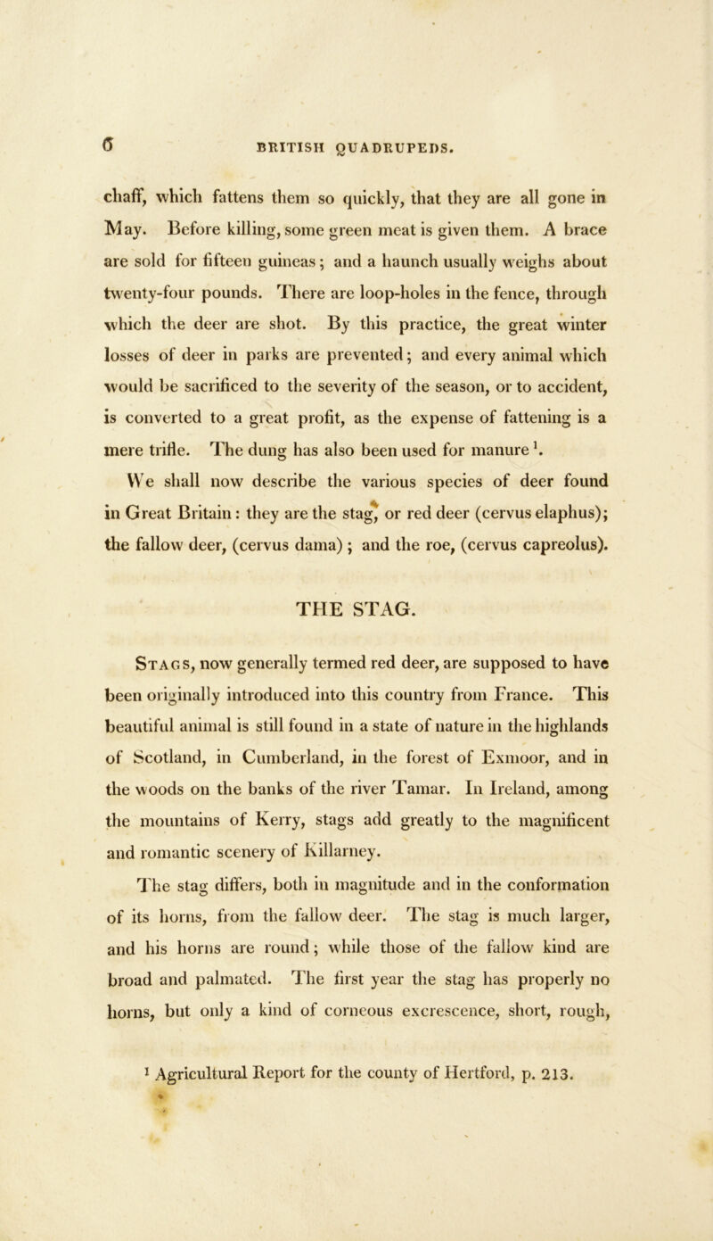 <5 chaff, which fattens them so quickly, that they are all gone in May. Before killing, some green meat is given them. A brace are sold for fifteen guineas; and a haunch usually weighs about twenty-four pounds. There are loop-holes in the fence, through which the deer are shot. By this practice, the great winter losses of deer in parks are prevented; and every animal which would be sacrificed to the severity of the season, or to accident, is converted to a great profit, as the expense of fattening is a mere trifle. The dung has also been used for manure h We shall now describe the various species of deer found in Great Britain: they are the stagj or red deer (cervus elaphus); the fallow deer, (cervus dama) ; and the roe, (cervus capreolus). THE STAG. Stags, now generally termed red deer, are supposed to have been originally introduced into this country from France. This beautiful animal is still found in a state of nature in the highlands of Scotland, in Cumberland, in the forest of Exmoor, and in the woods on the banks of the river Tamar. In Ireland, among the mountains of Kerry, stags add greatly to the magnificent s and romantic scenery of Killarney. The stag differs, both in magnitude and in the conformation of its horns, from the fallow deer. The stag is much larger, and his horns are round; while those of the fallow kind are broad and palmated. The first year the stag has properly no horns, but only a kind of corneous excrescence, short, rough, 1 Agricultural Report for the county of Hertford, p. 213.