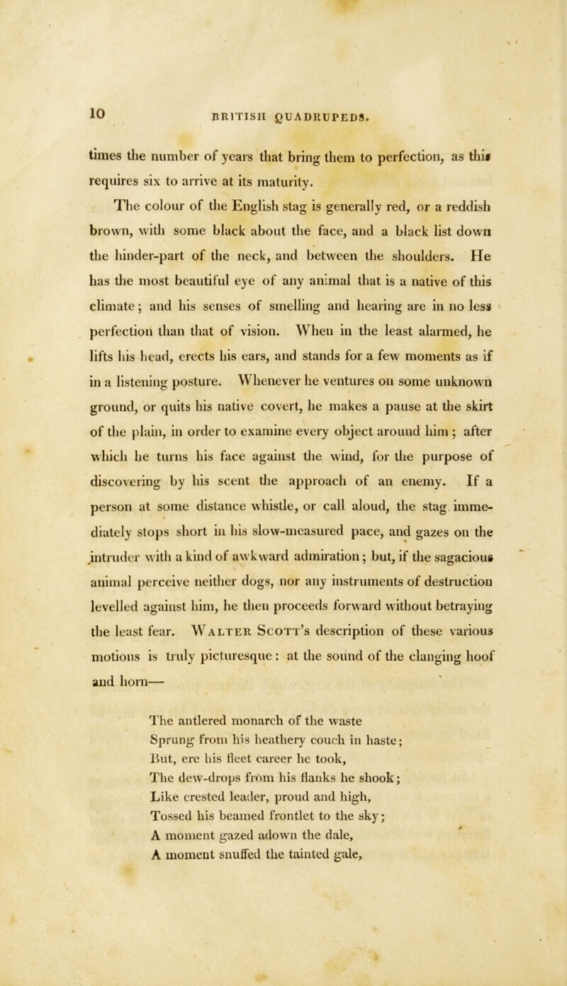 times the number of years that bring them to perfection, as thif requires six to arrive at its maturity. The colour of the English stag is generally red, or a reddish brown, with some black about the face, and a black list down the hinder-part of the neck, and between the shoulders. He has the most beautiful eye of any animal that is a native of this climate; and his senses of smelling and hearing are in no less perfection than that of vision. When in the least alarmed, he lifts his head, erects his ears, and stands for a few moments as if in a listening posture. Whenever he ventures on some unknown ground, or quits his native covert, he makes a pause at the skirt of the plain, in order to examine every object around him ; after which he turns his face against the wind, for the purpose of discovering by his scent the approach of an enemy. If a person at some distance whistle, or call aloud, the stag imme- diately stops short in his slow-measured pace, and gazes on the intruder with a kind of awkward admiration; but, if the sagacious animal perceive neither dogs, nor any instruments of destruction levelled against him, he then proceeds forward without betraying the least fear. Walter Scott’s description of these various motions is truly picturesque : at the sound of the clanging hoof and horn— The antlered monarch of the waste Sprung from his heathery couch in haste; But, ere his fleet career he took. The dew-drops from his flanks he shook; Like crested leader, proud and high, Tossed his beamed frontlet to the sky; A moment gazed adown the dale, A moment snuffed the tainted gale.