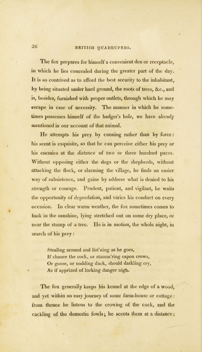The fox prepares for himself a convenient den or receptacle, r in which he lies concealed during the greater part of the day. It is so contrived as to afford the best security to the inhabitant, by being situated under hard ground, the roots of trees, &c., and is, besides, furnished with proper outlets, through which he may escape in case of necessity. The manner in which he some- times possesses himself of the badger’s hole, we have already mentioned in our account of that animal. He attempts his prey by cunning rather than by force: his scent is exquisite, so that he can perceive either his prey or his enemies at the distance of two or three hundred paces. Without opposing either the dogs or the shepherds, without attacking the flock, or alarming the village, he finds an easier % way of subsistence, and gains by address what is denied to his strength or courage. Prudent, patient, and vigilant, he wraits the opportunity of depredation, and varies his conduct on every occasion. In clear w arm weather, the fox sometimes comes to bask in the sunshine, lying stretched out on some dry place, or near the stump of a tree. He is in motion, the whole night, in search of his prey : Stealing around and list’ning as he goes, If chance the cock, or stamm’ring capon crows. Or goose, or nodding duck, should darkling cry, • As if apprized of lurking danger nigh. The fox generally keeps his kennel at the edge of a wood, and yet within an easy journey of some farm-house or cottage : from thence he listens to the crowing of the cock, and the cackling of the domestic fowls; he scents them at a distance;