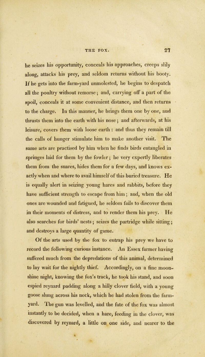 he seizes his opportunity, conceals his approaches, creeps slily along, attacks his prey, and seldom returns without his booty. If he gets into the farm-yard unmolested, he begins to despatch all the poultry without remorse ; and, carrying off a part of the spoil, conceals it at some convenient distance, and then returns to the charge. In this manner, he brings them one by one, and thrusts them into the earth with his nose; and afterwards, at his leisure, covers them with loose earth : and thus they remain till the calls of hunger stimulate him to make another visit. The same arts are practised by him when he finds birds entangled in springes laid for them by the fowler; he very expertly liberates them from the snares, hides them for a few days, and knows ex- actly when and where to avail himself of this buried treasure. He is equally alert in seizing young hares and rabbits, before they have sufficient strength to escape from him; and, when the old ones are wounded and fatigued, he seldom fails to discover them in their moments of distress, and to render them his prey. He also searches for birds’ nests; seizes the partridge while sitting; and destroys a large quantity of game. Of the arts used by the fox to entrap his prey we have to record the following curious instance. An Essex farmer having suffered much from the depredations of this animal, determined to lay wait for the nightly thief. Accordingly, on a fine moon- shine night, knowing the fox’s track, he took his stand, and soon espied reynard padding along a hilly clover field, with a young goose slung across his neck, which he had stolen from the farm- yard. The gun was levelled, and the fate of the fox was almost instantly to be decided, when a hare, feeding in the clover, was discovered by reynard, a little on one side, and nearer to the