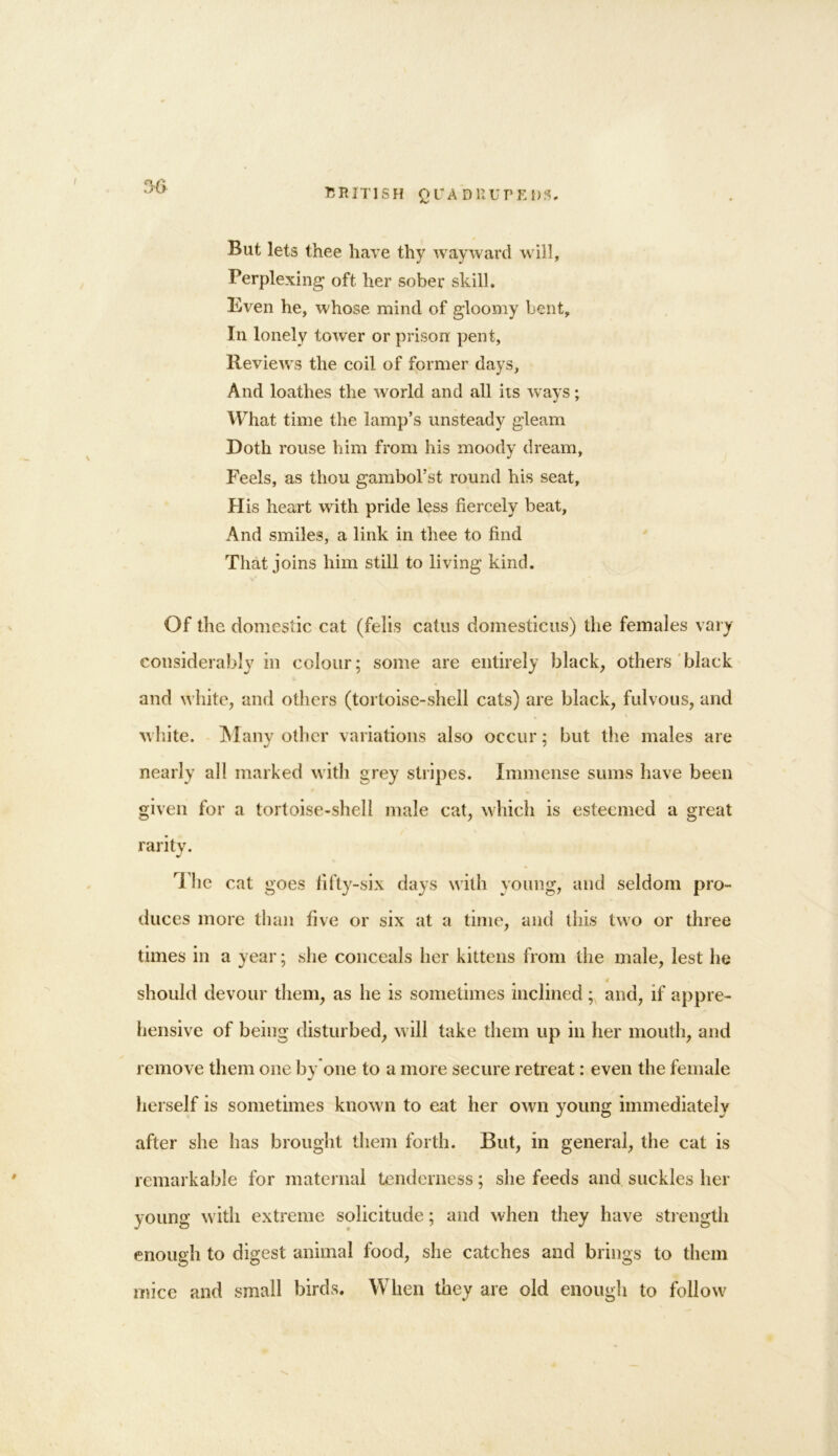But lets thee have thy wayward will. Perplexing oft her sober skill. Even he, whose mind of gloomy bent. In lonely tower or prison: pent, Reviews the coil of former days. And loathes the world and all its ways; What time the lamp’s unsteady gleam Doth rouse him from his moody dream. Feels, as thou gambol’st round his seat, FI is heart with pride less fiercely beat, And smiles, a link in thee to find That joins him still to living kind. Of the domestic cat (felis catus domesticus) the females vary considerably in colour; some are entirely black, others black and white, and others (tortoise-shell cats) are black, fulvous, and white. Many other variations also occur; but the males are nearly all marked with grey stripes. Immense sums have been given for a tortoise-shell male cat, which is esteemed a great rarity. T he cat goes fifty-six days with young, and seldom pro- duces more than five or six at a time, and this two or three times in a year; she conceals her kittens from the male, lest he should devour them, as he is sometimes inclined; and, if appre- hensive of being disturbed, will take them up in her mouth, and remove them one by one to a more secure retreat: even the female herself is sometimes known to eat her own young immediately after she has brought them forth. But, in general, the cat is remarkable for maternal tenderness; she feeds and suckles her young with extreme solicitude; and when they have strength enough to digest animal food, she catches and brings to them mice and small birds. When they are old enough to follow
