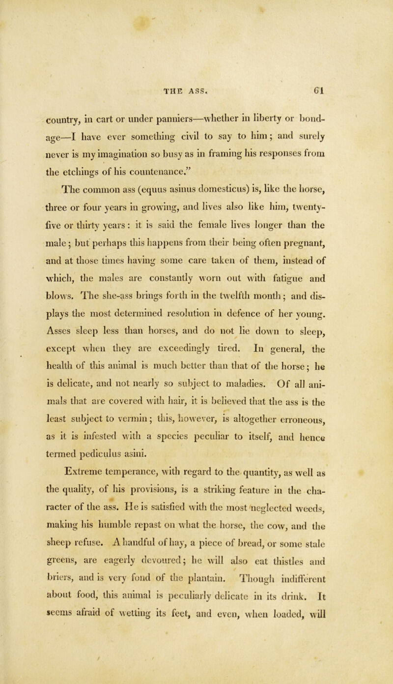 country, in cart or under panniers—whether in liberty or bond- age—I have ever something civil to say to him ; and surely never is my imagination so busy as in framing his responses from the etchings of his countenance.” The common ass (equus asinus domesticus) is, like the horse, three or four years in growing, and lives also like him, twenty- five or thirty years: it is said the female lives longer than the male ; but perhaps this happens from their being often pregnant, and at those times having some care taken of them, instead of which, the males are constantly worn out with fatigue and blows. The she-ass brings forth in the twelfth month; and dis- plays the most determined resolution in defence of her young. Asses sleep less than horses, and do not lie down to sleep, except when they are exceedingly tired. In general, the health of this animal is much better than that of the horse; he is delicate, and not nearly so subject to maladies. Of all ani- mals that are covered with hair, it is believed that the ass is the least subject to vermin; this, however, is altogether erroneous as it is infested with a species peculiar to itself, and hence termed pediculus asini. Extreme temperance, with regard to the quantity, as well as the quality, of his provisions, is a striking feature in the cha- racter of the ass. He is satisfied with the most neglected weeds making his humble repast on what the horse, the cow, and the sheep refuse. A handful of hay, a piece of bread, or some stale greens, are eagerly devoured; he will also eat thistles and briers, and is very fond of the plantain. Though indifferent about food, this animal is peculiarly delicate in its drink. It seems afraid ol wetting its feet, and even, when loaded, will