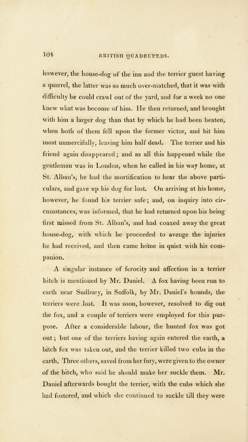 <v however, the house-dog of the inn and the terrier guest having a quarrel, the latter was so much over-matched, that it was with difficulty he could crawl out of the yard, and for a week no one knew what was become of him. He then returned, and brought with him a larger dog than that by which he had been beaten, when both of them fell upon the former victor, and bit him most unmercifully, leaving him half dead. The terrier and his friend again disappeared; and as all this happened while the gentleman was in London, when he called in his way home, at St. Alban’s, he had the mortification to hear the above parti- culars, and gave up his dog for lost. On arriving at his home, however, he found his terrier safe; and, on inquiry into cir- cumstances, w as informed, that he had returned upon his being first missed from St. Alban’s, and had coaxed away the great house-dog, with which he proceeded to avenge the injuries he had received, and then came home in quiet with his com- panion. A singular instance of ferocity and affection in a terrier bitch is mentioned by Mr. Daniel. A fox having been run to earth near Sudbury, in Suffolk, by Mr. Daniel’s hounds, the terriers were lost. It was soon, however, resolved to dig out the fox, and a couple of terriers were employed for this pur- \ pose. After a considerable labour, the hunted fox was got out; but one of the terriers having again entered the earth, a bitch fox was taken out, and the terrier killed tw o cubs in the earth. Three others, saved from her fury, were given to the owner of the bitch, who said he should make her suckle them. Mr. Daniel afterwards bought the terrier, with the cubs which she had fostered, and which she continued to suckle till they were