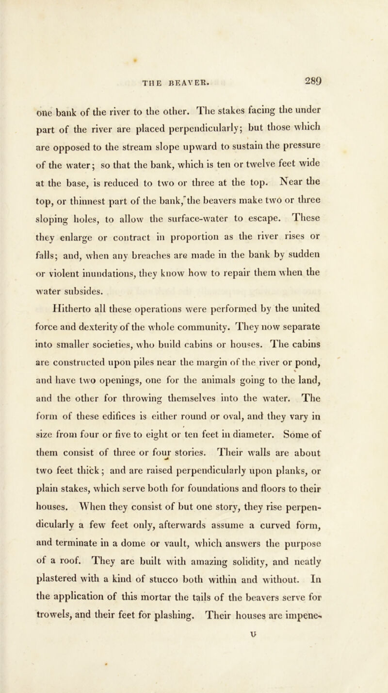 one bank of the river to the other. Ihe stakes facing the under part of the river are placed perpendicularly; but those which % are opposed to the stream slope upward to sustain the pressure of the water; so that the bank, which is ten or twelve feet wide at the base, is reduced to two or three at the top. Near the top, or thinnest part of the bank, the beavers make two or three sloping holes, to allow the surface-water to escape. These they enlarge or contract in proportion as the river rises or falls; and, when any breaches are made in the bank by sudden or violent inundations, they know how to repair them when the water subsides. Hitherto all these operations were performed by the united force and dexterity of the whole community. They now separate into smaller societies, who build cabins or houses. The cabins are constructed upon piles near the margin of the river or pond, % and have two openings, one for the animals going to the land, and the other for throwing themselves into the water. The form of these edifices is either round or oval, and they vary in size from four or five to eight or ten feet in diameter. Some of them consist of three or four stories. Their walls are about two feet thick; and are raised perpendicularly upon planks, or plain stakes, which serve both for foundations and floors to theiF houses. When they consist of but one story, they rise perpen- dicularly a few feet only, afterwards assume a curved form, and terminate in a dome or vault, which answers the purpose of a roof. They are built with amazing solidity, and neatly plastered with a kind of stucco both within and without. In the application of this mortar the tails of the beavers serve for trowels, and their feet for plashing. Their houses are impene- u