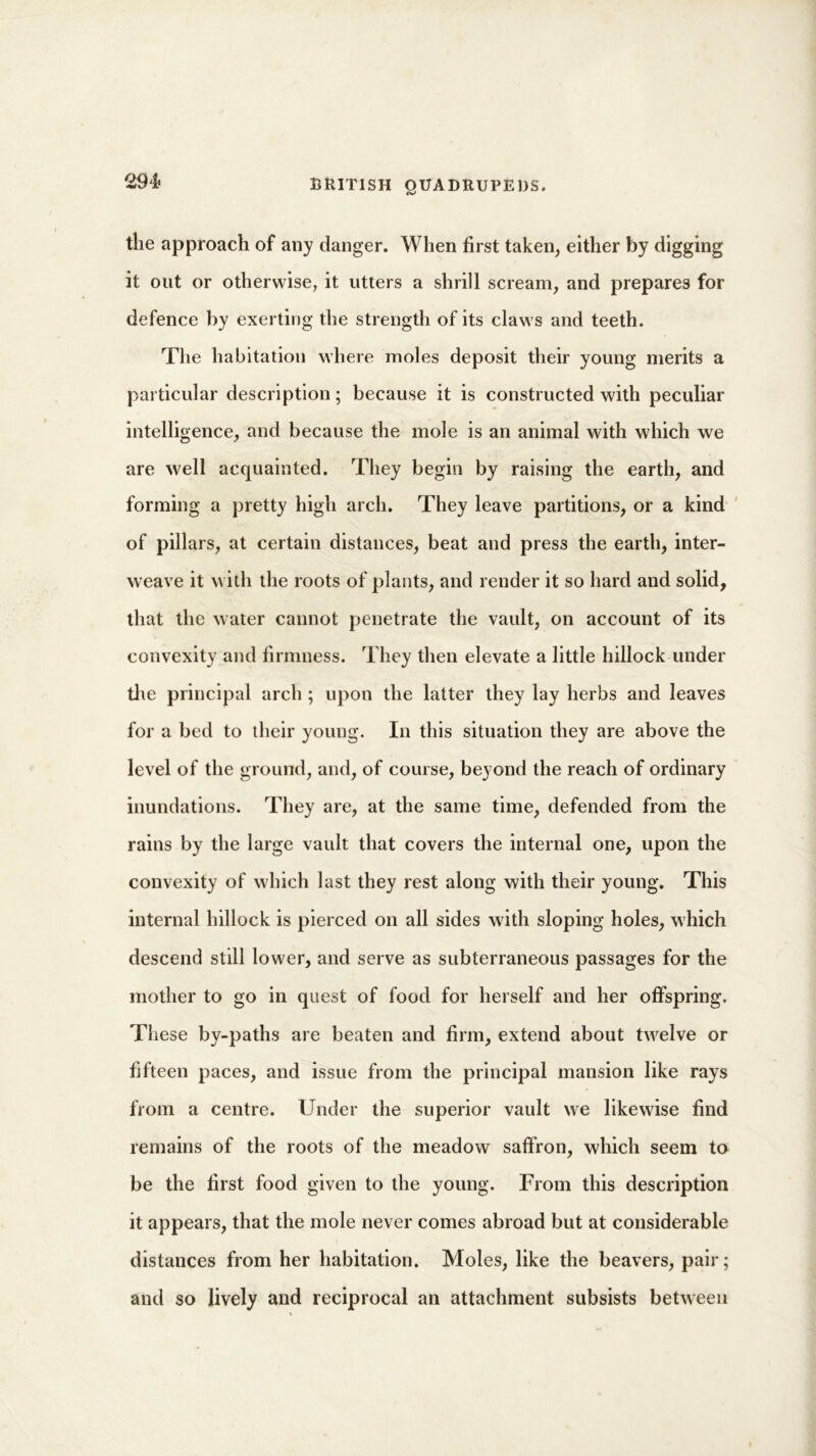 the approach of any danger. When first taken, either by digging it out or otherwise, it utters a shrill scream, and prepares for defence by exerting the strength of its claws and teeth. T1 ie habitation where moles deposit their young merits a particular description; because it is constructed with peculiar intelligence, and because the mole is an animal with which we are well acquainted. They begin by raising the earth, and forming a pretty high arch. They leave partitions, or a kind of pillars, at certain distances, beat and press the earth, inter- weave it with the roots of plants, and render it so hard and solid, that the water cannot penetrate the vault, on account of its convexity and firmness. They then elevate a little hillock under the principal arch ; upon the latter they lay herbs and leaves for a bed to their young. In this situation they are above the level of the ground, and, of course, beyond the reach of ordinary inundations. They are, at the same time, defended from the rains by the large vault that covers the internal one, upon the convexity of which last they rest along with their young. This internal hillock is pierced on all sides with sloping holes, which descend still lower, and serve as subterraneous passages for the mother to go in quest of food for herself and her offspring. These by-paths are beaten and firm, extend about twelve or fifteen paces, and issue from the principal mansion like rays from a centre. Under the superior vault we likewise find remains of the roots of the meadow saffron, which seem to be the first food given to the young. From this description it appears, that the mole never comes abroad but at considerable distances from her habitation. Moles, like the beavers, pair; and so lively and reciprocal an attachment subsists between