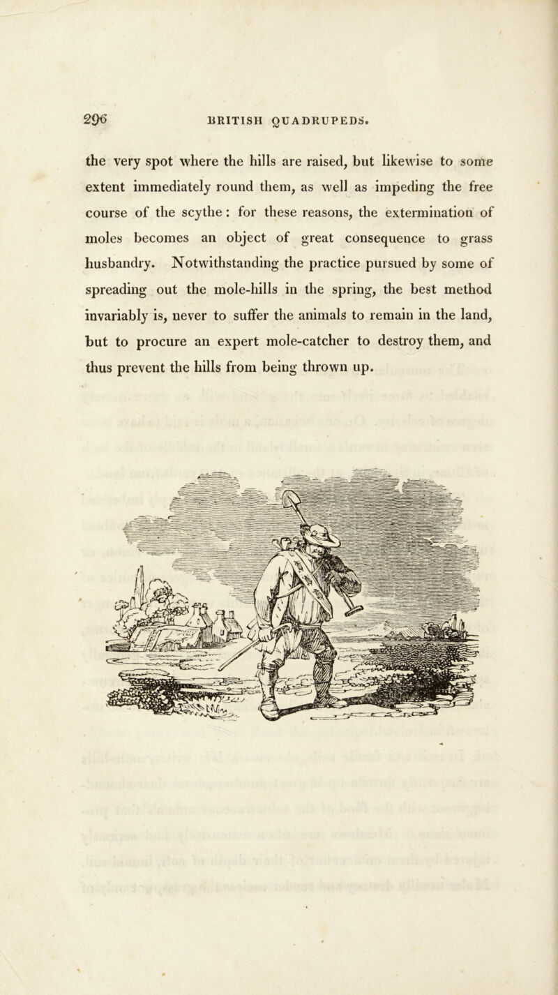 the very spot where the hills are raised, but likewise to some extent immediately round them, as well as impeding the free course of the scythe: for these reasons, the extermination of moles becomes an object of great consequence to grass husbandry. Notwithstanding the practice pursued by some of spreading out the mole-hills in the spring, the best method invariably is, never to suffer the animals to remain in the land, but to procure an expert mole-catcher to destroy them, and thus prevent the hills from being thrown up.