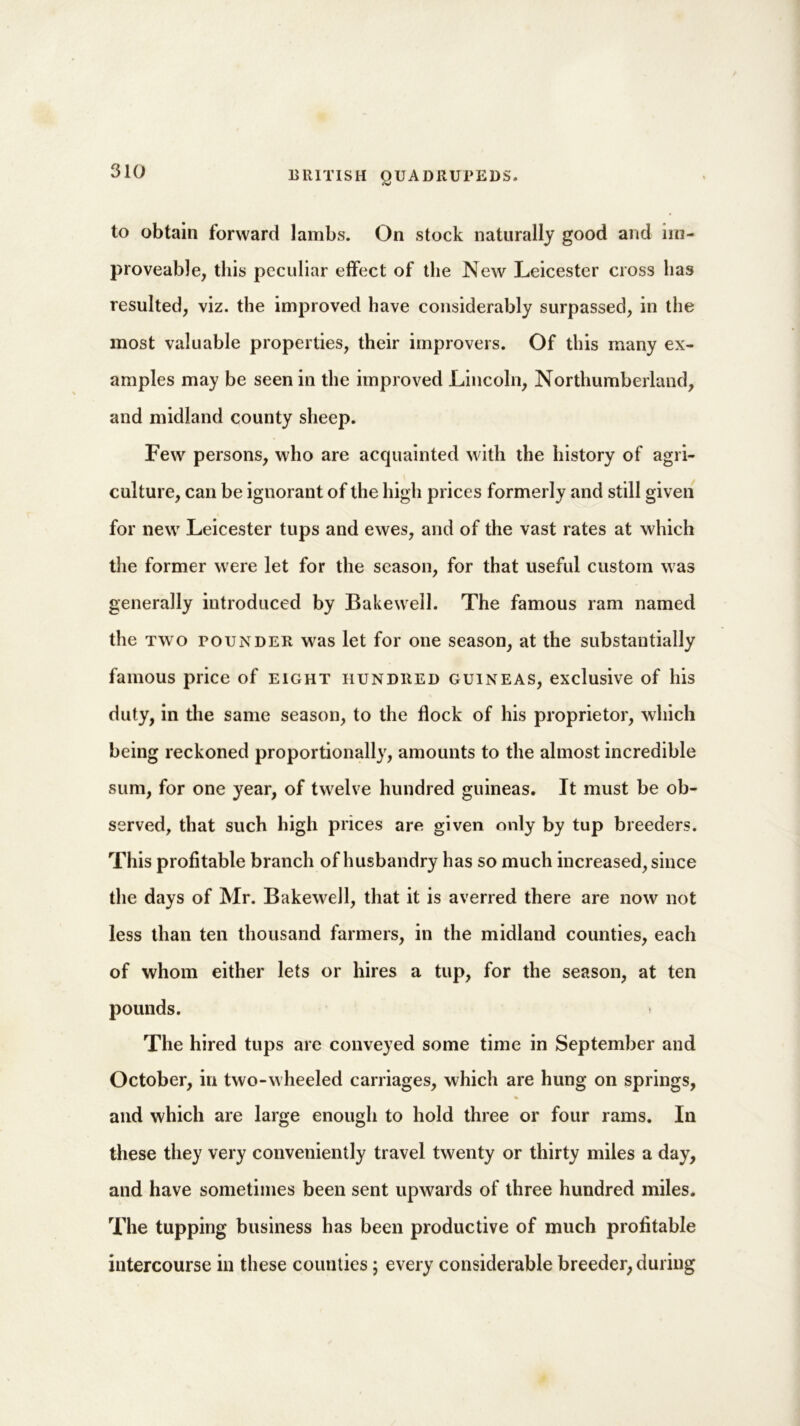 <v to obtain forward lambs. On stock naturally good and nn- proveable, this peculiar effect of the New Leicester cross has resulted, viz. the improved have considerably surpassed, in the most valuable properties, their improvers. Of this many ex- amples may be seen in the improved Lincoln, Northumberland, and midland county sheep. Few persons, who are acquainted with the history of agri- culture, can be ignorant of the high prices formerly and still given for new Leicester tups and ewes, and of the vast rates at which the former were let for the season, for that useful custom was generally introduced by Bakewell. The famous ram named the two pounder was let for one season, at the substantially famous price of eight hundred guineas, exclusive of his duty, in the same season, to the flock of his proprietor, which being reckoned proportionally, amounts to the almost incredible sum, for one year, of twelve hundred guineas. It must be ob- served, that such high prices are given only by tup breeders. This profitable branch of husbandry has so much increased, since the days of Mr. Bakewell, that it is averred there are now not less than ten thousand farmers, in the midland counties, each of whom either lets or hires a tup, for the season, at ten pounds. The hired tups are conveyed some time in September and October, in two-wheeled carriages, which are hung on springs, % and which are large enough to hold three or four rams. In these they very conveniently travel twenty or thirty miles a day, and have sometimes been sent upwards of three hundred miles. The tupping business has been productive of much profitable intercourse in these counties; every considerable breeder, during