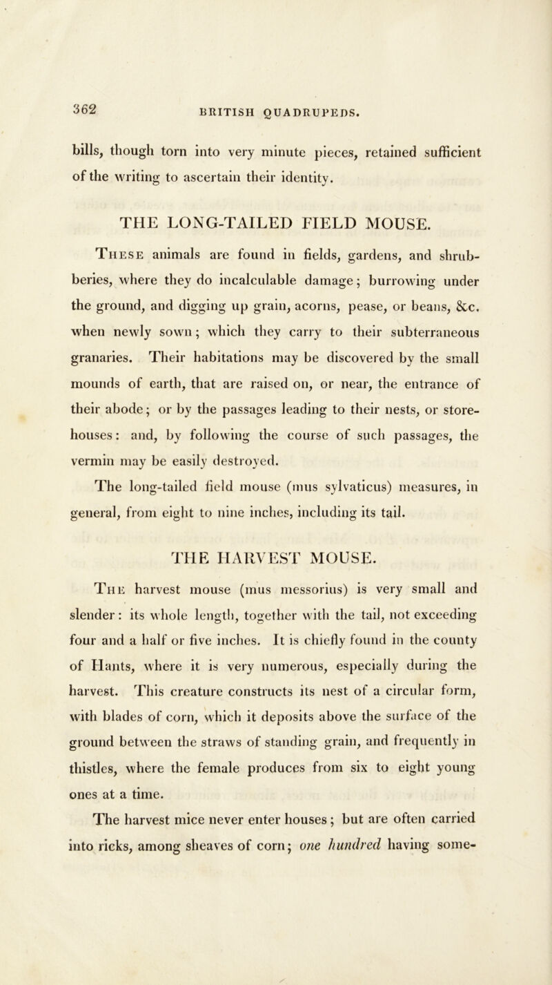 bills, though torn into very minute pieces, retained sufficient of the writing to ascertain their identity. THE LONG-TAILED FIELD MOUSE. Th ese animals are found in fields, gardens, and shrub- beries, where they do incalculable damage; burrowing under the ground, and digging up grain, acorns, pease, or beans, &c, when newly sown; which they carry to their subterraneous granaries. Their habitations may be discovered by the small mounds of earth, that are raised on, or near, the entrance of their abode; or by the passages leading to their nests, or store- houses : and, by following the course of such passages, the vermin may be easily destroyed. The long-tailed field mouse (inns sylvaticus) measures, in general, from eight to nine inches, including its tail. THE HARVEST MOUSE. The harvest mouse (mus messorius) is very small and slender: its whole length, together with the tail, not exceeding four and a half or five inches. It is chiefly found in the county of Hants, where it is very numerous, especially during the harvest. This creature constructs its nest of a circular form, with blades of corn, which it deposits above the surface of the ground between the straws of standing grain, and frequently in thistles, where the female produces from six to eight young ones at a time. The harvest mice never enter houses ; but are often carried into ricks, among sheaves of corn; one hundred having some-