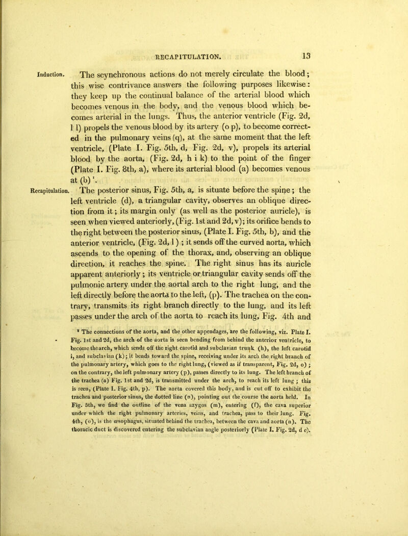 Induction. The scynchronous actions do not merely circulate the blood; this wise contrivance answers the following purposes likewise: they keep up the continual balance of the arterial blood which becomes venous in the body, and the venous blood which be- comes arterial in the lungs. Thus, the anterior ventricle (Fig. 2d, 11) propels the venous blood by its artery (o p), to become correct- ed in the pulmonary veins (q), at the same moment that the left ventricle, (Plate I. Fig. 5th, d. Fig. 2d, v), propels its arterial blood by the aorta, (Fig. 2d, h i k) to the point of the finger (Plate I. Fig. 8th, a), where its arterial blood (a) becomes venous at (b) \ Recapitulation. The posterior sinus. Fig. 5th, a, is situate before the spine; the left ventricle (d), a triangular cavity, observes an oblique direc- tion from it; its margin only (as well as the posterior auricle), is seen when viewed anteriorly, (Fig. 1st and 2d, v); its orifice bends to the right between the posterior sinus, (Plate I. Fig. 5th, b), and the anterior ventricle, (Fig. 2d, 1) ; it sends off the curved aorta, which ascends to the opening of the thorax, and, observing an oblique direction, it reaches the spine. The right sinus has its auricle apparent anteriorly; its ventricle or triangular cavity sends off the pulmonic artery under the aortal arch to the right lung, and the left directly before the aorta to the left, (p). The trachea on the con- trary, transmits its right branch directly to the lung, and its left passes under the arch of the aorta to reach its lung. Fig. 4th and The connections of the aorta, and the other appendages, are the following, viz. Plate I. - Fig. 1st and 2d, the arch of the aorta is seen bending from behind the anterior ventricle, to become the arch, which sends off the right carotid and subclavian trui|k (h), the left carotid i, and subclavian (k); it bends toward the spine, receiving under its arch the right branch of the pulmonary artery, which goes to the right lung, (viewed as if transparent, Fig. 2d, o) ; on the contrary, the left pulmonary artery (p), passes directly to its lung. The left branch of the trachea (a) Fig. 1st and 2d, is transmitted under the arch, to reach its left lung • this is seen, (Plate I. Fig. 4th, p). The aorta covered this body, and is cut off to exhibit the trachea and posterior sinus, the dotted line (n), pointing out the course the aorta held. In Fig. 5th, we find the outline of the vena azygos (m), entering (f), the cava superior under which the right pulmonary arteries, veins, and trachea, pass to their lung. Fig. 4;th, (o), is the oesophagus, situated behind the trachea, between the cava and aorta (n). The thoracic duct is discovered entering the subclavian angle posteriorly (Plate I. Fig. 2d, d e).