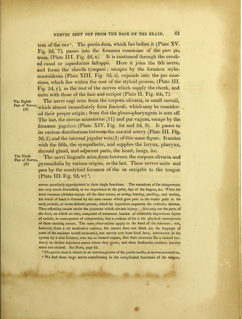 tern of the ear*. The portiodura, which lies before it (Plate XV. Fig. 2d, 7), passes into the foramen commune of the pars pe- trosa, (Plate III. Fig. 2d, x). It is continued through the crook- ed canal or aqueductus falloppii. Here it joins the 6th nerve, and forms the chorda tympani; escapes by the foramen stylo- mastoideum (Plate XIII. Fig. 3d, s), expands into the pes anse- rinus, which lies within the root of the styloid process, (Plate III. Fig. 2d, y), as the root of the nerves which supply the cheek, and unite with those of the face and occiput (Plate II. Fig. 4th, 7). The Eighth The nervi vagi arise from the corpora olivaria, in small surculi. Pair of ^Nerves, almost immediately form fasciculi, which may be consider- ed their proper origin ; from this the glosso-pharyngeus is sent off. The last, the nervus accessorius (11) and par vagum, escape by the foramen jugulare (Plate XIV. Fig. 1st and 2d, 8). It passes to its various distributions between the carotid artery (Plate III. Fig. 3d,2),and the internal jugular vein(l) of this same figure. Itunites with the fifth, the sympathetic, and supplies the larynx, pharynx, thyroid gland, and adjacent parts, the heart, lungs, &c. The The nervi lingualis arise from between the corpora olivaria and (9) ’pyramidalia by various origins, as the last. These nerves unite and pass by the condyloid foramen of the os occipitis to the tongue (Plate III. Fig. 2d, w) ^ Herves peculiarly appropriated to their single functions. The sensations of the integuments are very much diversified, as we experience in the palm, tips of the fingers, &c. While the most common plebeian enjoys all the finer senses, as seeing, hearing, smelling, and tasting, his touch of hand is blunted by the same causes which gave pain to the tender palm in the early periods, or to the delicate person, which by repetition augments the cuticular lamin®. Thus offending causes excite the processes which obviate injury. Not only are the parts of the foot, on which we rest, composed of numerous laminae of insensible impervious layers of cuticle, in consequence of compression, but a cushion of fat is the physical consequence of these exciting causes. The same observations apply to the hand of the labourer; not, however, from a vis medicatrix naiurce, for nature does not think (as the language of some of the ancients would insinuate), but merely acts from fixed laws, interwoven in the system by a wise Creator, who has so formed organs, that their structure has a natural ten- dency to obviate injurious causes where they occur, and these tendencies continue inactive when not excited. See Note, page 22. ’Theportio dura is situate in an anterior groove of the portio mollis, or nervus accousticus. * We find three large nerves contributing to the complicated functions of the tongue;