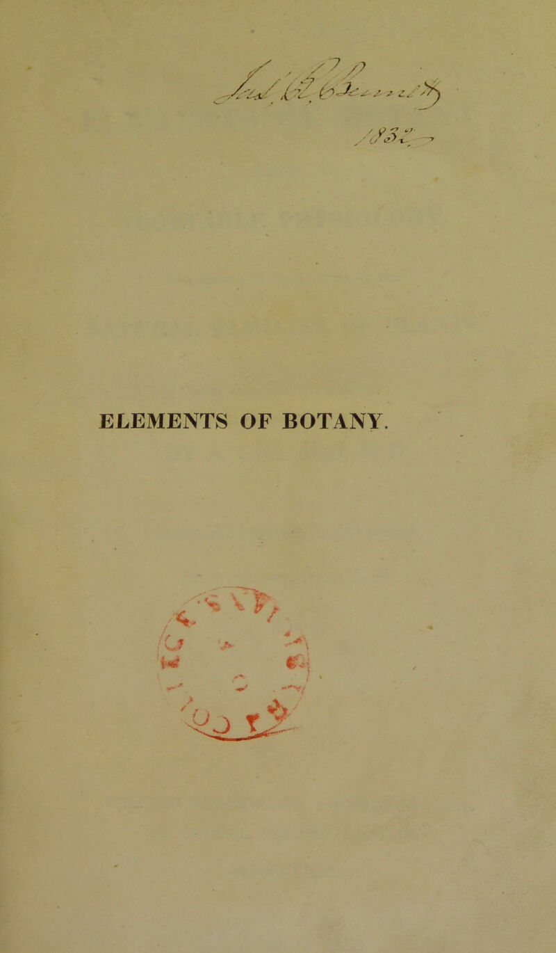 7 /? J- 7- z<: 1/ &' 1 ELEMENTS OF BOTANY. / /( W ;C» ’j •