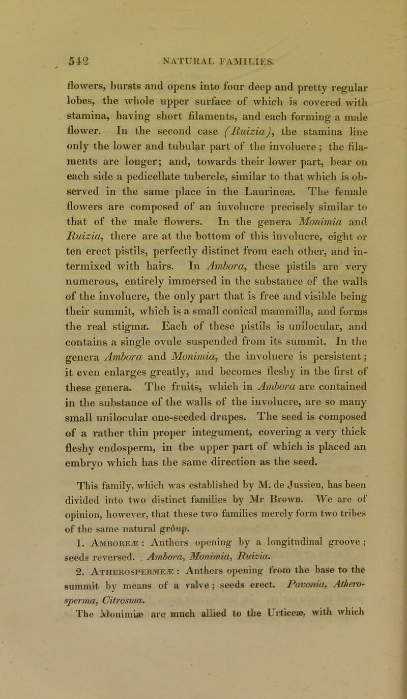 flowers, bursts and opens into four deep and pretty regular lobes, the whole upper surface of which is covered with stamina, having short filaments, and each forming a male flower. In the second case (lluizia,), the stamina line only the lower and tubular part of the involucre ; the fila- ments are longer; and, towards their lower part, bear on each side a pedicellate tubercle, similar to that which is ob- served in the same place in the Laurinete. The female flowers are composed of an involucre precisely similar to that of the male flowers. In the genera Monimia and lluizia, there are at the bottom of this involucre, eight or ten erect pistils, perfectly distinct from each other, and in- termixed with hairs. In Ambora, these pistils are very numerous, entirely immersed in the substance of the walls of the involucre, the only part that is free and visible being their summit, which is a small conical mammilla, and forms the real stigma. Each of these pistils is unilocular, and contains a single ovule suspended from its summit. In the genera Ambora and Monimia, the involucre is persistent; it even enlarges greatly, and becomes fleshy in the first of these genera. The fruits, which in Ambora are contained in the substance of the walls of the involucre, are so many small unilocular one-seeded drupes. The seed is composed of a rather thin proper integument, covering a very thick fleshy endosperm, in the upper part of which is placed an embryo which has the same direction as the seed. This family, which was established by M. de Jussieu, has been divided into two distinct families by Mr Brown. We are of opinion, however, that these two families merely form two tribes of the same natural grflup. 1. Amborete : Anthers opening by a longitudinal groove ; seeds reversed. Ambora, Monimia, lluizia. 2. Atiierospermeje : Anthers opening from the base to the summit by means of a valve ; seeds erect. Pavonia, Athero- sperma, Citrosma. The Monimia! are much allied to the LTticeaj, with which