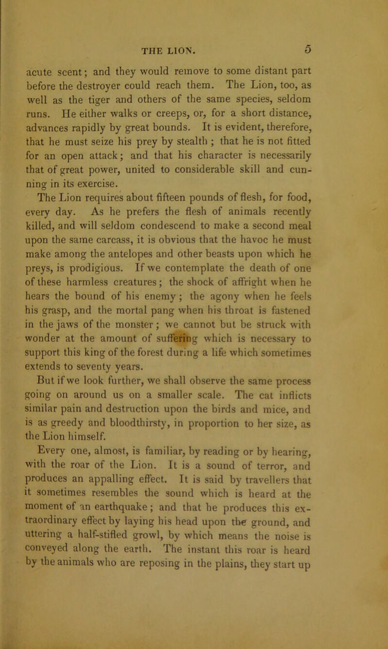 acute scent; and they would remove to some distant part before the destroyer could reach them. The Lion, too, as well as the tiger and others of the same species, seldom runs. He either walks or creeps, or, for a short distance, advances rapidly by great bounds. It is evident, therefore, that he must seize his prey by stealth ; that he is not fitted for an open attack; and that his character is necessarily that of great power, united to considerable skill and cun- ning in its exercise. The Lion requires about fifteen pounds of flesh, for food, every day. As he prefers the flesh of animals recently killed, and will seldom condescend to make a second meal upon the same carcass, it is obvious that the havoc he must make among the antelopes and other beasts upon which he preys, is prodigious. If we contemplate the death of one of these harmless creatures; the shock of affright when he hears the bound of his enemy; the agony when he feels his grasp, and the mortal pang when his throat is fastened in the jaws of the monster; we cannot but be struck with wonder at the amount of suffering which is necessary to support this king of the forest during a life which sometimes extends to seventy years. But if we look further, we shall observe the same process going on around us on a smaller scale. The cat inflicts similar pain and destruction upon the birds and mice, and is as greedy and bloodthirsty, in proportion to her size, as the Lion himself. Every one, almost, is familiar, by reading or by hearing, with the roar of the Lion. It is a sound of terror, and produces an appalling effect. It is said by travellers that it sometimes resembles the sound which is heard at the moment of an earthquake; and that he produces this ex- traordinary effect by laying his head upon the ground, and uttering a half-stifled growl, by which means the noise is conveyed along the earth. The instant this roar is heard by the animals who are reposing in the plains, they start up