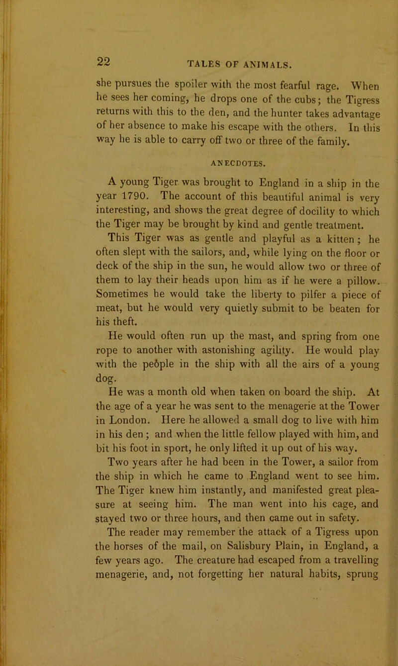 she pursues the spoiler with the most fearful rage. When he sees her coming, he drops one of the cubs; the Tigress returns with this to the den, and the hunter takes advantage of her absence to make his escape with the others. In this way he is able to carry off two or three of the family. ANECDOTES. A young Tiger was brought to England in a ship in the year 1790. The account of this beautiful animal is very interesting, and shows the great degree of docility to which the Tiger may be brought by kind and gentle treatment. This Tiger was as gentle and playful as a kitten; he often slept with the sailors, and, while lying on the floor or deck of the ship in the sun, he would allow two or three of them to lay their heads upon him as if he were a pillow. Sometimes he would take the liberty to pilfer a piece of meat, but he would very quietly submit to be beaten for his theft. He would often run up the mast, and spring from one rope to another with astonishing agility. He would play with the pe&ple in the ship with all the airs of a young dog. He was a month old when taken on board the ship. At the age of a year he was sent to the menagerie at the Tower in London. Here he allowed a small dog to live with him in his den ; and when the little fellow played with him, and bit his foot in sport, he only lifted it up out of his way. Two years after he had been in the Tower, a sailor from the ship in which he came to England went to see him. The Tiger knew him instantly, and manifested great plea- sure at seeing him. The man went into his cage, and stayed two or three hours, and then came out in safety. The reader may remember the attack of a Tigress upon the horses of the mail, on Salisbury Plain, in England, a few years ago. The creature had escaped from a travelling menagerie, and, not forgetting her natural habits, sprung