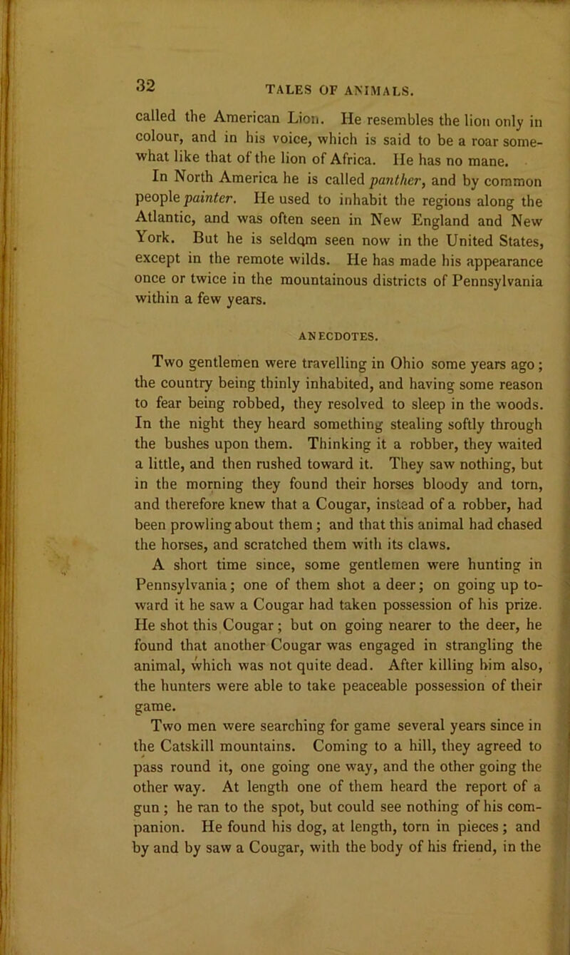 called the American Lion. He resembles the lion only in colour, and in his voice, which is said to be a roar some- what like that of the lion of Africa. lie has no mane. In North America he is called panther, and by common people painter. He used to inhabit the regions along the Atlantic, and was often seen in New England and New York. But he is seldom seen now in the United States, except in the remote wilds. He has made his appearance once or twice in the mountainous districts of Pennsylvania within a few years. ANECDOTES. Two gentlemen were travelling in Ohio some years ago; the country being thinly inhabited, and having some reason to fear being robbed, they resolved to sleep in the woods. In the night they heard something stealing softly through the bushes upon them. Thinking it a robber, they waited a little, and then rushed toward it. They saw nothing, but in the morning they found their horses bloody and torn, and therefore knew that a Cougar, instead of a robber, had been prowling about them ; and that this animal had chased the horses, and scratched them with its claws. A short time since, some gentlemen were hunting in Pennsylvania; one of them shot a deer; on going up to- ward it he saw a Cougar had taken possession of his prize. He shot this Cougar; but on going nearer to the deer, he found that another Cougar was engaged in strangling the animal, which was not quite dead. After killing him also, the hunters were able to take peaceable possession of their game. Two men were searching for game several years since in the Catskill mountains. Coming to a hill, they agreed to pass round it, one going one way, and the other going the other way. At length one of them heard the report of a gun ; he ran to the spot, but could see nothing of his com- panion. He found his dog, at length, torn in pieces; and by and by saw a Cougar, with the body of his friend, in the