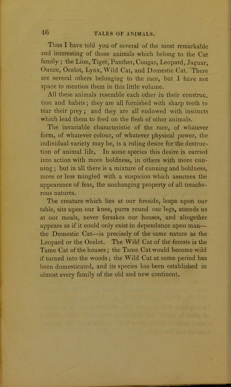 Thus I have told you of several of the most remarkable and interesting of those animals which belong to the Cat family ; the Lion, Tiger, Panther, Cougar, Leopard, Jaguar, Ounce, Ocelot, Lynx, Wild Cat, and Domestic Cat. There are several others belonging to the race, but I have not space to mention them in this little volume. All these animals resemble each other in their construe, tion and habits; they are all furnished with sharp teeth to tear their prey; and they are all endowed with instincts which lead them to feed on the flesh of other animals. The invariable characteristic of the race, of whatever form, of whatever colour, of whatever physical power, the individual variety may be, is a ruling desire for the destruc- tion of animal life. In some species this desire is carried into action with more boldness, in others with more cun- ning ; but in all there is a mixture of cunning and boldness, more or less mingled with a suspicion which assumes the appearance of fear, the unchanging property of all treache- rous natures. The creature which lies at our fireside, leaps upon our table, sits upon our knee, purrs round our legs, attends us at our meals, never forsakes our houses, and altogether appears as if it could only exist in dependance upon man— the Domestic Cat—is precisely of the same nature as the Leopard or the Ocelot. The Wild Cat of the forests is the Tame Cat of the houses; the Tame Cat would become wild if turned into the woods; the Wild Cat at some period has been domesticated, and its species has been established in almost every family of the old and new continent.