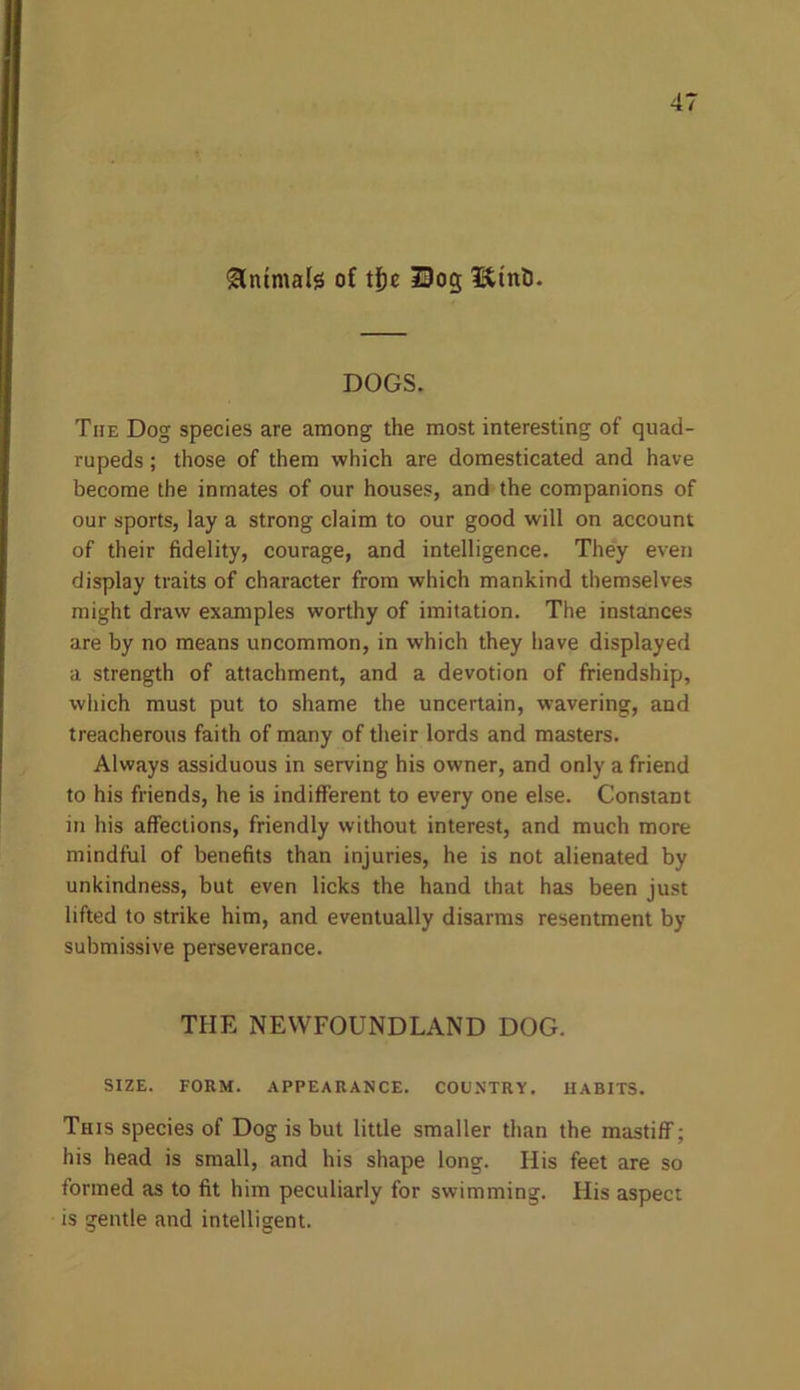 Animate of t!)c 23og IttnD. DOGS. The Dog species are among the most interesting of quad- rupeds ; those of them which are domesticated and have become the inmates of our houses, and the companions of our sports, lay a strong claim to our good will on account of their fidelity, courage, and intelligence. They even display traits of character from which mankind themselves might draw examples worthy of imitation. The instances are by no means uncommon, in which they have displayed a strength of attachment, and a devotion of friendship, which must put to shame the uncertain, wavering, and treacherous faith of many of their lords and masters. Always assiduous in serving his owner, and only a friend to his friends, he is indifferent to every one else. Constant in his affections, friendly without interest, and much more mindful of benefits than injuries, he is not alienated by unkindness, but even licks the hand that has been just lifted to strike him, and eventually disarms resentment by submissive perseverance. THE NEWFOUNDLAND DOG. SIZE. FORM. APPEARANCE. COUNTRY. HABITS. This species of Dog is but little smaller than the mastiff; his head is small, and his shape long. His feet are so formed as to fit him peculiarly for swimming. His aspect is gentle and intelligent.