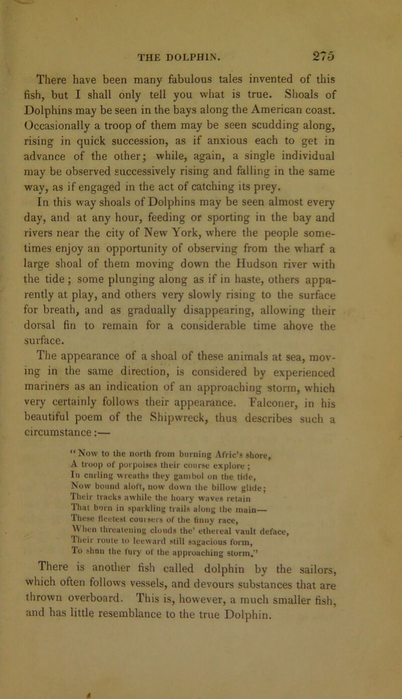 There have been many fabulous tales invented of this fish, but I shall only tell you what is true. Shoals of Dolphins may be seen in the bays along the American coast. Occasionally a troop of them may be seen scudding along, rising in quick succession, as if anxious each to get in advance of the other; while, again, a single individual may be observed successively rising and falling in the same way, as if engaged in the act of catching its prey. In this way shoals of Dolphins may be seen almost every day, and at any hour, feeding or sporting in the bay and rivers near the city of New York, where the people some- times enjoy an opportunity of observing from the wharf a large shoal of them moving down the Hudson river with the tide; some plunging along as if in haste, others appa- rently at play, and others very slowly rising to the surface for breath, and as gradually disappearing, allowing their dorsal fin to remain for a considerable time ahove the surface. The appearance of a shoal of these animals at sea, mov- ing in the same direction, is considered by experienced mariners as an indication of an approaching storm, which very certainly follows their appearance. Falconer, in his beautiful poem of the Shipwreck, thus describes such a circumstance:— “Now to the north from burning Afric’s shore, A troop of porpoises their course explore ; Iu curling wreaths they gambol on the tide, Now bound aloft, now down the billow glide; Their tracks awhile the hoary waves retain That burn in sparkling trails along the main— These fleetest coursers of the finny race, \\ hen threatening clouds the1 ethereal vault deface. Their route to leeward still sagacious form. To shnn the lury of the approaching storm.1’ There is another fish called dolphin by the sailors, which often follows vessels, and devours substances that are thrown overboard. This is, however, a much smaller fish, and has little resemblance to the true Dolphin. i