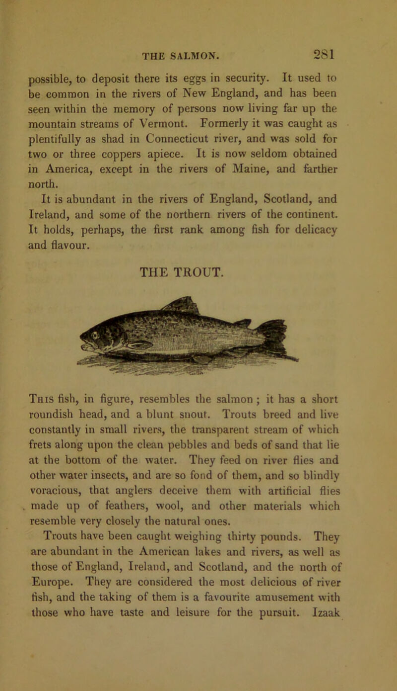 possible, to deposit there its eggs in security. It used to be common in the rivers of New England, and has been seen within the memory of persons now living far up the mountain streams of Vermont. Formerly it was caught as plentifully as shad in Connecticut river, and was sold for two or three coppers apiece. It is now seldom obtained in America, except in the rivers of Maine, and farther north. It is abundant in the rivers of England, Scotland, and Ireland, and some of the northern rivers of the continent. It holds, perhaps, the first rank among fish for delicacy and flavour. THE TROUT. This fish, in figure, resembles the salmon ; it has a short roundish head, and a blunt snout. Trouts breed and live constantly in small rivers, the transparent stream of which frets along upon the clean pebbles and beds of sand that lie at the bottom of the water. They feed on river flies and other water insects, and are so fond of them, and so blindly voracious, that anglers deceive them with artificial flies made up of feathers, wool, and other materials which resemble very closely the natural ones. Trouts have been caught weighing thirty pounds. They are abundant in the American lakes and rivers, as well as those of England, Ireland, and Scotland, and the north of Europe. They are considered the most delicious of river fish, and the taking of them is a favourite amusement with those who have taste and leisure for the pursuit. Izaak