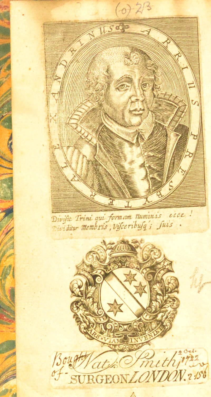 'fit Trini quijvmnm. Uumutis tcce, ^ivilitvr TttimiriJ, Vifceribufq j Jtus * 44 A