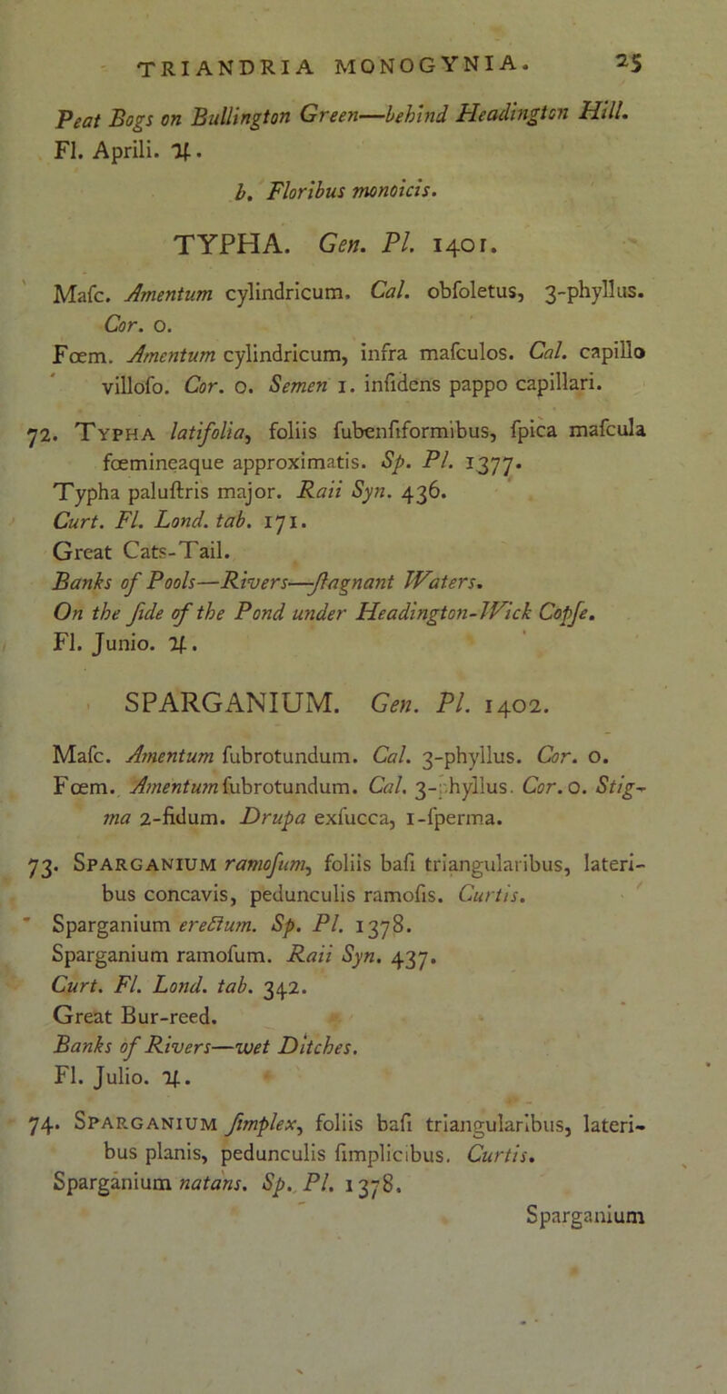 Peat Bogs on Bullington Green—behind Fleadington Hili. FI. Aprili. %. I. Floribus monoicis. TYPHA. Gen. Pl. 1401. Mafc. Amentum cylindricum, Cal. obfoletus, 3-phyllus. Cor. o. Fcem. Amentum cylindricum, infra mafculos. Cal. capillo villofo. Cor. o. Semen 1. infidcns pappo capillari. 72. Typha latifolia, foliis fubcnfiformibus, fpica mafcula fcemineaque approximatis. Sp. Pl. 1377. Typha paluftris major. Raii Syn. 436. Curt. FI. Lond.tab. 171. Great Cats-Tail. Banks of Pools—Rivers—-Jlagnant JVaters. On the fide of the Pond under Headington-TVick Copfe. FI. Junio. Of.. SPARGANIUM. Gen. Pl. 1402. Mafc. Amentum fubrotundum. Cal. 3-phyllus. Cor. o. Fcem. Amentum fubrotundum. Cal. 3-:;hyllus. Cor. o. Stig~ ma 2-fidum. Drupa exfucca, i-fperma. 73. Sparganium ramofum, foliis bafi triangularibus, lateri- bus concavis, pedunculis ramofis. Curtis. ' Sparganium ereftum. Sp. Pl. 137S. Sparganium ramofum. Raii Syn. 437. Curt. FI. Lond. tab. 34.2. Great Bur-reed. Banks of Rivers—wet Ditches. FI. Julio, lf.. 74. Sparganium fimplex, foliis bafi triangularibus, lateri- bus planis, pedunculis fimplicibus. Curtis. Sparganium natans. Sp. Pl, 1378. Sparganium
