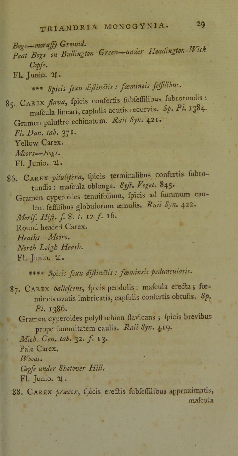 Bogs—morafjy Ground. Beat Bogs on Bullington Green—under Copfe. FI. J unio. l£. Headington-TVick *** Spicis fexu diflinttis : foemineis feflilibus. 85. Carex flava, fpicis confertis fubfeflilibus fubrotundis: mafcula lineari, capfulis acutis recurvis. Sp. Pl. 1384- Gramen paluftre echinatum. Raii Syn. 421. FI. Dan. tab. 371. Yellow Carex. Moors—Bogs. FI. Junio. %. 86. Carex pilulifera, fpicis terminalibus confertis fubro- tundis: mafcula oblonga. Syfl. Veget. 845. Gramen cyperoides tenuifolium, fpicis ad fummum cau- lem feffilibus globulorum aemulis. Raii Syn. 422. Morif Hifl. f. 8. t. 12 /. 16. Round headed Carex. Heaths—Moors. North Leigh Heath. FI. Junio, • **** Spicis fexu diflinotis : foemineis pedunculatis. 87. Carex pallefcens, fpicis pendulis: mafcula erefta; foe- mineis ovatis imbricatis, capfulis confertis obtufis. Sp. Pl. 1386. Gramen cyperoides polyftachion flaVicans ; fpicis brevibus prope fummitatem caulis. Raii Syn. 419* Mich. Gen. tab. 32. /. 13. Pale Carex. JVoods. Copfe under Shotover Hili. FI. Junio, lf. 88. Carex pracox, fpicis ere£tis fubfeflilibus approximatis, mafcula