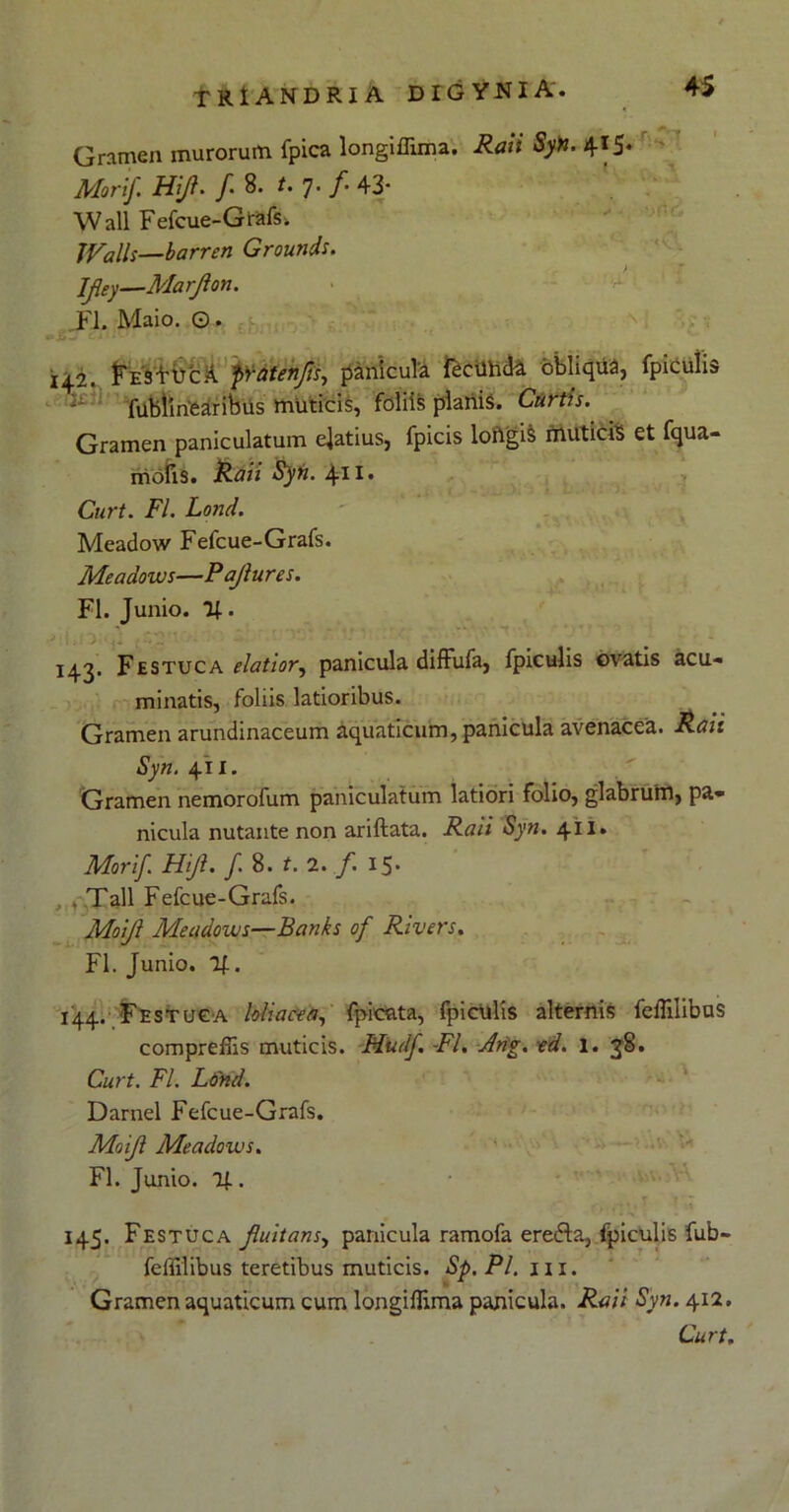Gramen murorum fpica longiffima. Raii Syn. 415* Mori/. Hijl. /. 8. t. 7. f 43- Wall Fefcue-GlrafSi IValls—barren Grounds. JJley—Marjlon. FI. Maio. O. 142. FesFuca pratenjls, panicula iecilhda obliqua, fpiculis 1 fublmearibus muticis, foliis planis. Curtis. Gramen paniculatum elatius, fpicis loftgis muticis et fqua- mofis. Raii Syn. 41 Curt. FI. Lond. Meadow Fefcue-Grafs. Meadows—Pajlures. FI. Junio. . 143. Festuca elatior^ panicula difFufa, fpiculis ovatis acu- minatis, foliis latioribus. Gramen arundinaceum aquaticum, panicula avenacea. Raii Syn. 411. Gramen nemorofum paniculatum latiori folio, glabrum, pa- nicula nutante non ariftata. Raii Syn. 411. Morif. Hi/i. f. 8. t. 2. f. 15* . Tali Fefcue-Grafs. Moiji Meadows—Banks of Rivers. FI. Junio. If. 144. Festuca loliacea, fpicnta, fpiculis alternis feifilibus compreffis muticis. Hudf. FI. Arig. ed. 1. 38. Curt. FI. Lond. Darnel Fefcue-Grafs. Moiji Meadows. FI. Junio. If. • jr 145. Festuca Jluitans, panicula ramofa erefta, fpiculis fub- feflilibus teretibus muticis. Sp.Pl. m. Gramen aquaticum cum longillima panicula. Raii Syn. 412. Curt.