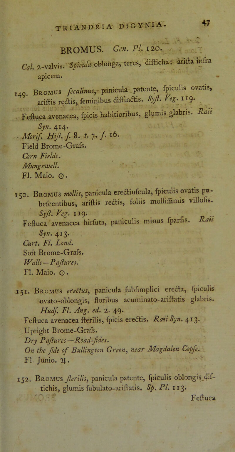 t • - . ; . '.v BROMUS. Gen. VI, 120. Cal. 2-valvis. Spicula oblonga, teres, difticha: arifta Infra apicem. ,40. Bromus faaSma, pzmcuhi patente, fpiculis ovatis, ariftis rectis, feminibus cliftinctis. Syjl. Veg. 11 g, - • . - Feftuca avenacea, fpicis habitioribus, glumis glabris. Ra:t Syn. 414. • Morif. Hift. f. 8- t. 7. /• 16. Field Brome-Grafs. Corn Fields. Mungewell. FI. Maio. ©. 150. Bromus mollis, panicula erediufcula, fpiculis ovatis pu~ befcentibus, ariftis redis, foliis molliffimis villofis. Syjl. Veg. 119. Feftuca avenacea hirfuta, paniculis minus fparfis, at. Syn. 413. Curt. FI. Lond. Soft Brome-Grafs. JValls — Pajlures. FI. Maio. © • 151. Bromus eredlus, panicula fubfimplici erecta, fpiculis ovato-oblongis, floribus acuminato-ariftatis glabris. Hudf. FI. Ang. ed. 2. 49. Feftuca avenacea fterilis, fpicis eredis. Rati Syn. 413* Upright Brome-Grafs. Dry Pajlures—Road-fides. On tbe fide of Bullington G re en, near Afagdalen Copje. FI. Junio. 2;. 152. Bromus Jlerilis, panicula patente, fpiculis oblongis.c^if- tichis, glumis fubulato-ariftatis. Sp. Pl. 113.