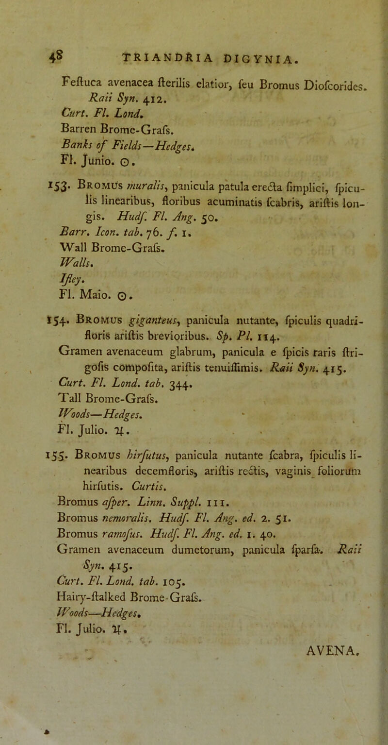 Feftuca avenacea fterilis elatior, feu Bromus Diofcorides. Raii Syn. 412. Curt. FI. Lond. Barren Brome-Grafs. Banks of Fields—Hedges. FI. Junio. 0. 153. Bromus muralis, panicula patula ere&a fimplici, fpicu- lis linearibus, floribus acuminatis fcabris, ariftis lon- gis. Hudf. FI. Ang. 50. Barr. Icon. tab. 76. f. 1, Wall Brome-Grafs. Walls. Ifey. FI. Maio. O* 154. Bromus giganteus, panicula nutante, fpiculis quadri- floris ariftis brevioribus. Sp. Pl. 114. Gramen avenaceum glabrum, panicula e fpicis raris ftri- gofls compofita, ariftis tenuiflimis. Raii Syn. 415. Curt. FI. Lond. tab. 344. Tali Brome-Grafs. JVoods—Hedges. FI. Julio. 155* Bromus hirfutus, panicula nutante fcabra, fpiculis li- nearibus decemfloris, ariftis redtis, vaginis foliorum hirfutis. Curtis. Bromus afper. Linn. Suppi, m. Bromus nemoralis. Hudf. FI. Ang. ed. 2. 51. Bromus ratnofus. Hudf. FI. Ang. ed. 1. 40. Gramen avenaceum dumetorum, panicula fparfa-. Raii Syn. 415. Curt. FI. Lond. tab. 105. Hairy-ftallced Brome-Grafs. /Voods—Hedges. FI. Julio. 2£. AVENA.