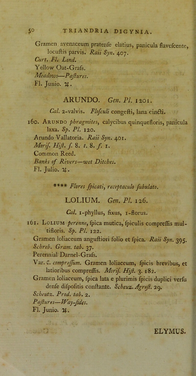 Gramen avenaceum pratenfe elatius, panicula flavefcente, locuftis parvis. Raii Syn. 407. Curt. FI. Lond. Yellow Oat-Grafs. Meadows—Pajlures. FI. Junio. %. ARUNDO. Gen. Pl. 1201. Cal. 2-valvis. Flofculi congefti, lana cin£li. 160. Arundo pbragmites, calycibus quinquefloris, panicula laxa. Sp. Pl. 120. Arundo Vallatoria. Raii Syn. 401. Morif. FUJI. f. 8. t. 8. f. 1. 1 Common Reed. Banks of Rivers—wct Ditcbes. FI. Julio. %. **** Flores J'picati, receptaculo fubulato. LOLIUM. Gen. Pl. 126. Cal. i-phyllus, fixus, 1-florus. 161. Lolium perenne, fpica mutica, fpiculis compreflis mul- tifloris. Sp. Pl. 122. Gramen loliaceum anguftiori folio et fpica. Raii Syn. 395. Schreb. Gram. tab. 37. Perennial Darnel-Grafs. Var. £. comprejfnm. Gramen loliaceum, fpicis brevibus, et latioribus compreflis. Morif. Hijl. 3. 182. Gramen loliaceum, fpica lata e plurimis fpicis duplici verfu denfe difpofitis conflante. Scheuz. Agrojl. 29. Scbeutz. Prod. tab. 2. Pajlures—IVay-Jdes. FI. Junio. If. ELYMUS.