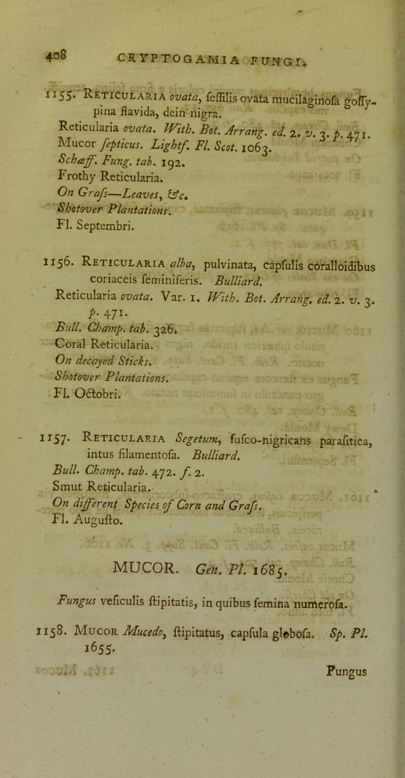 1155. Reticularia ovata, feffilis ovata mucilaginbfa goffy- pina flavida, dein nigra. Reticularia ovata. Witb. Bot. Arrang. ed. 2. %>. 3. p. 471. Mucor fepticus. Lightf. FI. Scot. 1063. Scbaff. Fung. tab. 192. Frothy Reticularia. On Grafs—Leaves, fc\r. Shotover Plantations. FI. Septembri. 1156. Reticularia alba, pulvinata, capfulis coralloidibus coriaceis feminiferis. Bulllard. Reticularia ovata. Var. 1. With. Bot. Arrang. ed. 2. v. 7. P■ 4 71- Fv//. Cbainp. tab. 326. Coral Reticularia. O/r decayed Sticks. Shotover Plantations. FI. Odlobri. 1157. Reticularia 1Segetum, fufco-nigricans parafitica, intus filamentofa. Bulliard. Bull. Champ. tab. 472. f. 2. Smut Reticularia. On different Species of Corn and Grafs. Fl. Augufto. • - MUCOR. Gen. Pl. 1685. Fungus veficulis ftipitatis, in quibus femina numerofa. 1158. Mucor Mundo, ftipitatus, capfula gl©bofa. Sp. Pl. 1655. Fungus