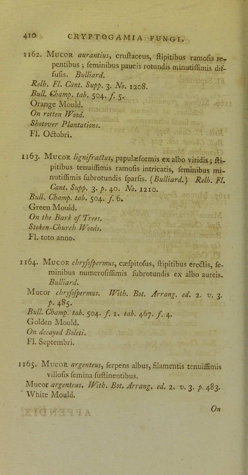 410 CRYPTOG AMI A FUNGI. 1162. Mucor aurantius, cruftaceus, ftipitibus ramofis re- pentibus ; feminibus paucis rotundis minutiffimis dif- fufis. Bulliard, Relh. FI. Cant. Supp. 3. No. 1208. Bull. Champ. tab. 504. f. 5. Orapge Mould. On rotten JVood. Sbotover Plantatiom. FJ. Odtobri. 1163. Mucor lignifraftu,i, papulaeformis exalbo viridis; fti- pitibus tenuiHimis ramofis intricatis, feminibus mi- nutiffimis fubrotundis fparfis. {Bulliard.) Relh. FI. Cant. Supp. 3. p. 40. No. 1210. Bull. Champ. tab. 504. f. 6. Green Mould. On the Bark of Trees. Stoken-Church Woods. Fl. toto anno. 1164. Mucor chryfofpermus, csefpitofus, ftipitibus erectis, fe- minibus numeroiiffimis fubrotundis ex albo aureis. Bulliard. Mucor chryfofpermus. With. Bot. Arrang. ed. 2. v. 3. p. 485. Bull. Champ. tab. 504. f. 1. tab. 467. f. 4. Golden Mould. On decayed Boleti. Fl. Septembri. 1165. Mucor argenteus, ferpens albus, filamentis tenuiffimis villofis femina fuftinentibus. Mucor argenteus. With. Bot. Arrang. ed. 2. v. 3. p. 483. White Adould, On