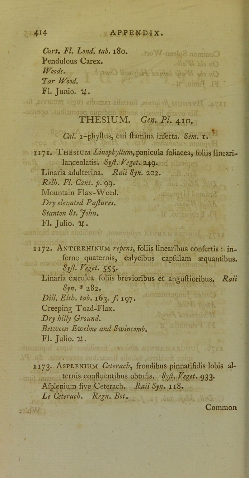 Curt. FI. Lond. tab. 180. Pendulous Carex. Woods. Far Wood. ^ • FI. Junio. Of. oi r2UT zihcnsi *.•>'. /A\>mvA\\ \ u irH iy •V °inci Jnr-Vn mmtkrtfi '*/•+. «-vo «- * *.»,:! THESIUM. Gen. Pl. 410. « ■ Cal. i-phyllus, cui ftamina inferta. Sem. 1. 1171. Thesium Linophyllum^ panicula foliacea, foliis lineari- lanceolatis. Syji. Veget. 249. Linaria adulterina. Raii Syn. 202. Relh. FI. Cant. p. 99. Mountain Flax-Weed. Dry elevated Pajlures. Stanton St. John. FI. Julio. %. 1172. Antirrhinum repens, foliis linearibus confertis : in- ferne quaternis, calycibus capfulam aequantibus. Syjl. Veget. 555. Linaria caerulea foliis brevioribus et anguftioribus. Raii Syn. * 282. Pili. Elth. tab. 163. f. 197. Creeping Toad-Flax. Dry hilly Ground. Retween Ewelme and Swincomb. FI. Julio. Of. 1173. Asplenium Ceterach, frondibus pinnatifidis lobis al- ternis confluentibus obtufls. Syjl. Veget. 933. Afplenium five Ceterach. Raii Syn. 118. Lc Ceterach. Regn. Bot. Common