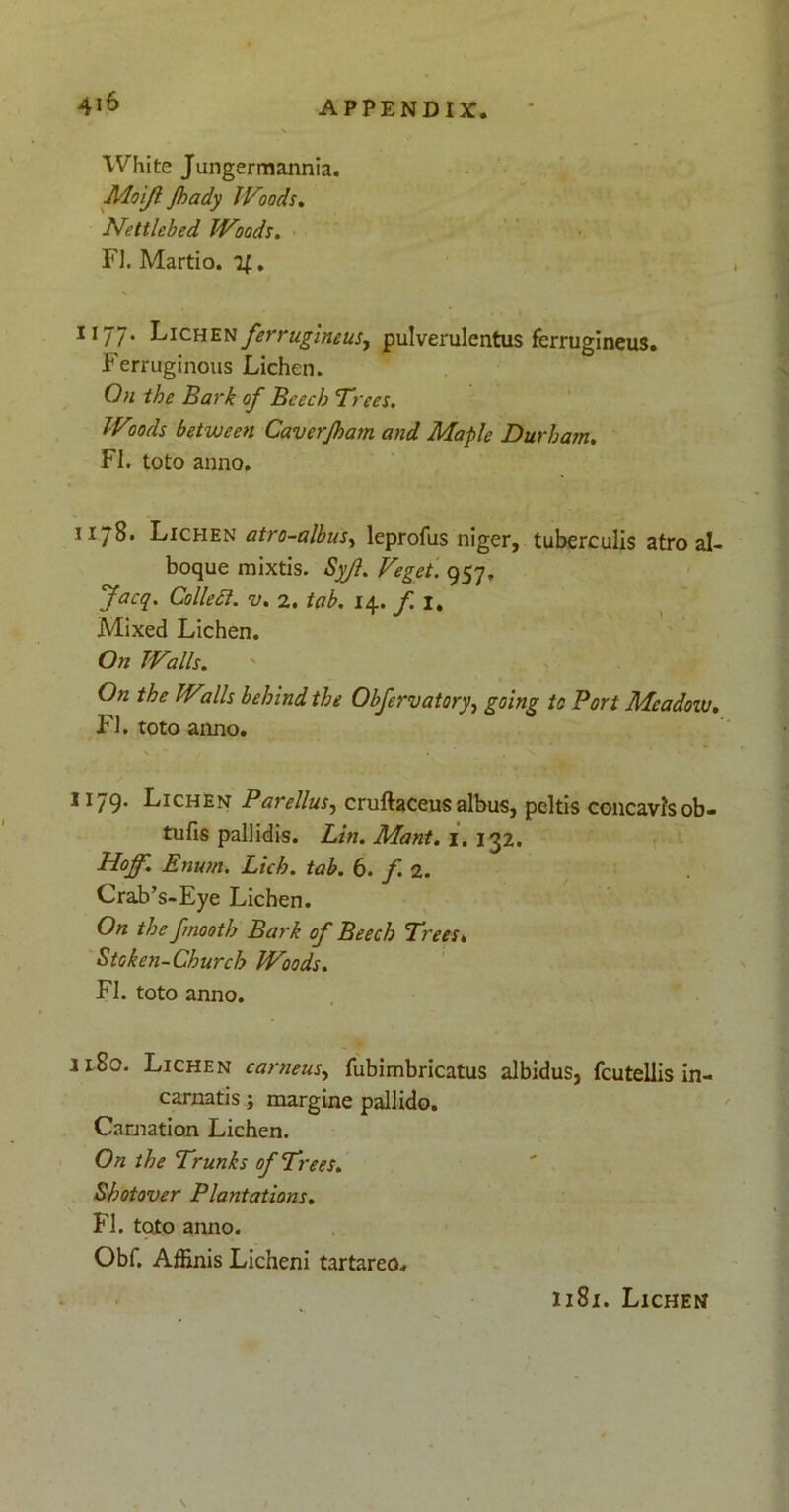 White Jungermannia. JHoiJl Jhady JVoods. Nettlebed JVoods. FI. Martio, lf. 1177. Lichen ferrugineus^ pulverulentus ferrugineus. Ferruginous Lichen. On the Bark of Bcech T> •ees. IV'tods between Caverfhatn and Maple Durham. FI. toto anno. 1178. Lichen atro-albus, leprofus niger, tuberculis atro al- boque mixtis. Syf. Veget. 957. Jacq. Collett. v. 2. tab. 14. f 1. Mixed Lichen. On JValls. On the JValls behind the Obfervatory, going tc Fort Meadow. FI. toto anno. 1179. Lichen Parellus, cruftaceus albus, peltis concavis ob- tufis pallidis. Lin. Mant. j. 132. Idojf. Enum. Licb. tab. 6. f 2. Crab’s-Eye Lichen. On the fmooth Bark of Beech Trees, Stcken-Church JVoods. FI. toto anno. 1180. Lichen carneus, fubimbricatus albidus, fcutellis in- carnatis ; margine pallido. Camation Lichen. On the Trunks of Trees. Shotover Plantations. FI. toto anno. Obf. Affinis Licheni tartareo.
