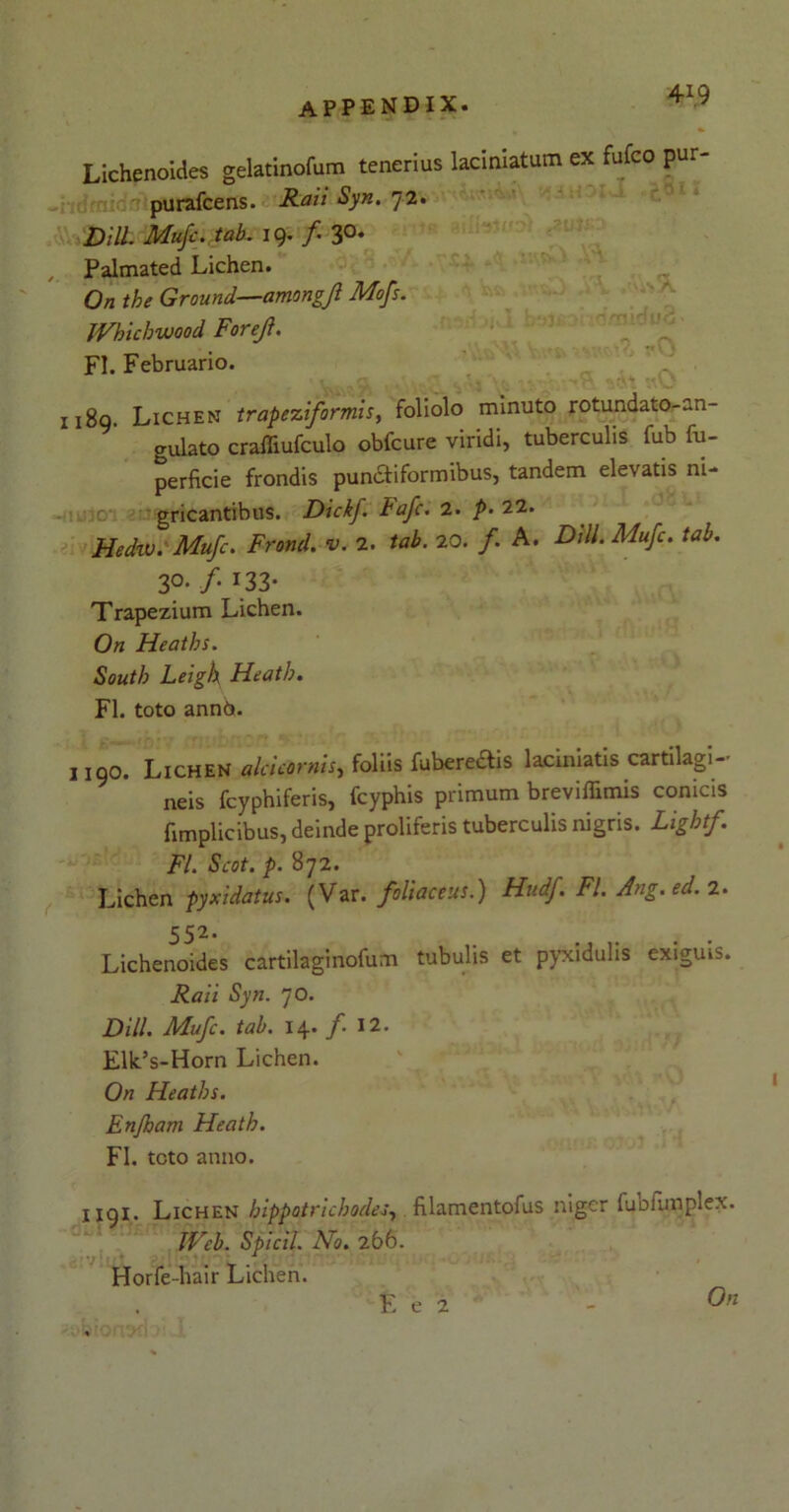 Lichenoides gelatinofum tenerius laciniatum ex fufco pur- purafcens. Raii Syn. 72. Dill. Mufc. tab. 19. f 3^* Palmated Lichen. On the Ground—amongjl Mofs. Whicbwood Forejl. FI. Februario. 1189. Lichen trapeziformis, foliolo minuto rotundato-an- gulato crafliufculo obfcure viridi, tuberculis fub fu- perficie frondis pun£ti form ibus, tandem elevatis ni- gricantibus. Dickf. bafc. 2. p. 22. Hediv. Mufc. Frond. v. 2. tab. 20. /. A. Dill. Mufc. tab. 3°- /• I33- Trapezium Lichen. On Heatbs. South Leigh Heatb. FI. toto ann6. 1190. Lichen alcicornis, foliis fubereftis laciniatis cartilagi- neis fcyphiferis, fcyphis primum breviffimis conicis fimplicibus, deinde proliferis tuberculis nigris. Lightf. FI. Scot. p. 872. Lichen pyxidatus. (Var .foliaceus.) Hudf. FI. Ang. ed. 2. 552. Lichenoides cartilaginofum tubulis et pyxidulis exiguis. Raii Syn. 70. Dill. Mufc. tab. 14. /. 12. Elk.’s-Horn Lichen. On Heatbs. Enjham Heatb. FI. toto anno. ngi. Lichen bippotrichodes, filamentofus niger fuokmplex. Web. Spicii. No. 266. Horfe-hair Lichen. On