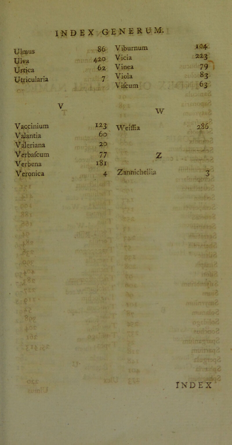 INDEX G Ulmus 86 Ulva 420 Urtica 62 Utricularia 7 V Vaccinium 123 Valantia 60 Valeriana 20 Verbafcum 77 Verbena 181 Veronica 4 •nerum. Viburnum 104 Vicia 223 Vinea 79 Viola 83 Vifcum 63 W WeilHa 286 z Zannicheliia 3 O INDEX