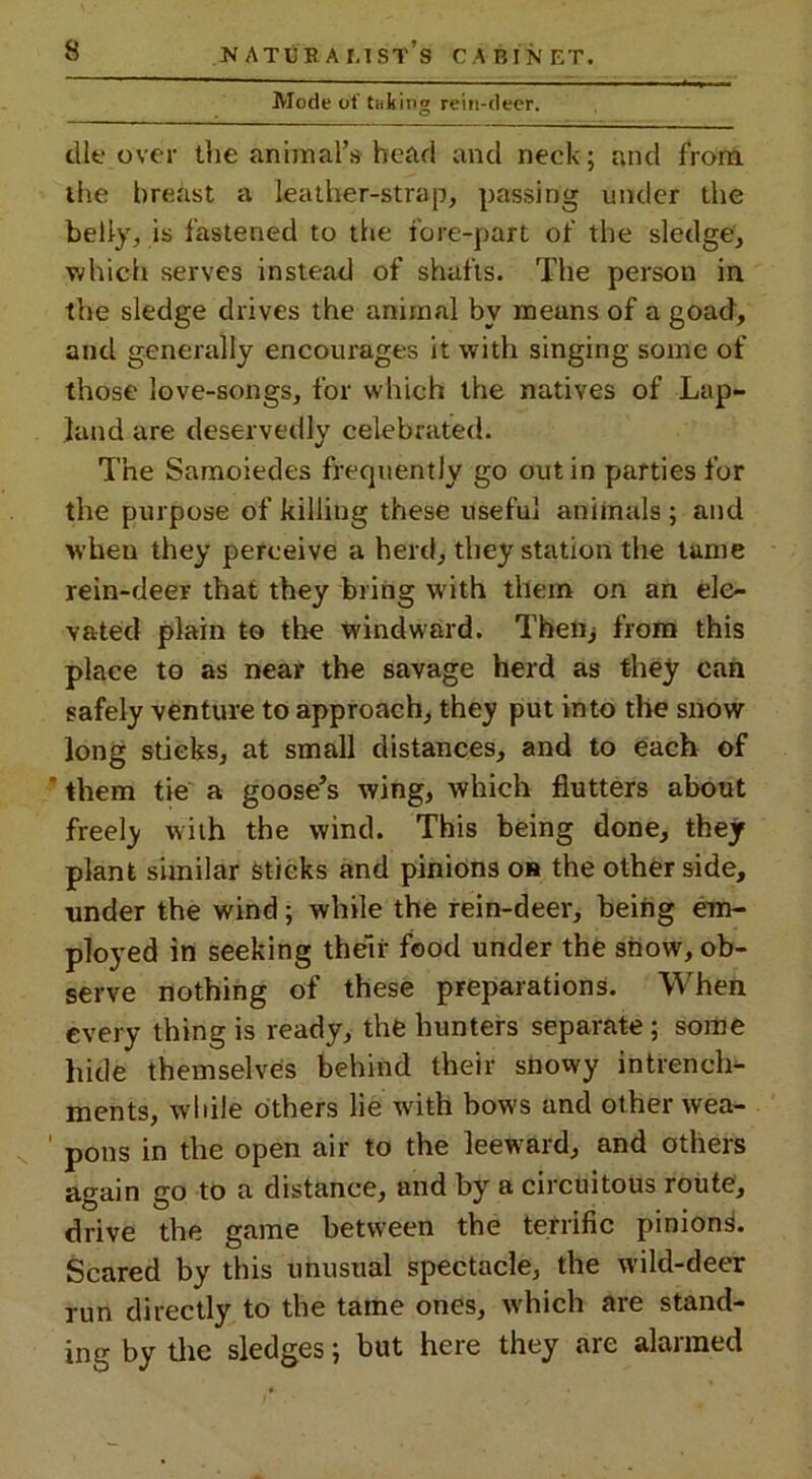 Mode of taking rein-deer. die over the animal’s head and neck; and from the breast a leather-strap, passing under the belly, is fastened to the fore-part of the sledge, ■which serves instead of shafts. The person in the sledge drives the animal by means of a goad, and generally encourages it with singing some of those love-songs, for which the natives of Lap- land are deservedly celebrated. The Samoiedes frequently go out in parties for the purpose of killing these useful animals; and when they perceive a herd, they station the tame rein-deer that they bring with them on an ele- vated plain to the windward. Then, from this place to as near the savage herd as they can safely venture to approach, they put into the snow long stieks, at small distances, and to each of ' them tie a goose’s wing, which flutters about freely with the wind. This being done, they plant similar sticks and pinions os the other side, under the wind; while the rein-deer, being em- ployed in seeking their food under the snow, ob- serve nothing of these preparations. When every thing is ready, the hunters separate ; some hide themselves behind their snowy intrench- ments, while others lie with bows and other wea- pons in the open air to the leeward, and others again go to a distance, and by a circuitous route, drive the game between the terrific pinions. Scared by this unusual spectacle, the wild-deer run directly to the tame ones, which are stand- ing by the sledges; but here they are alarmed