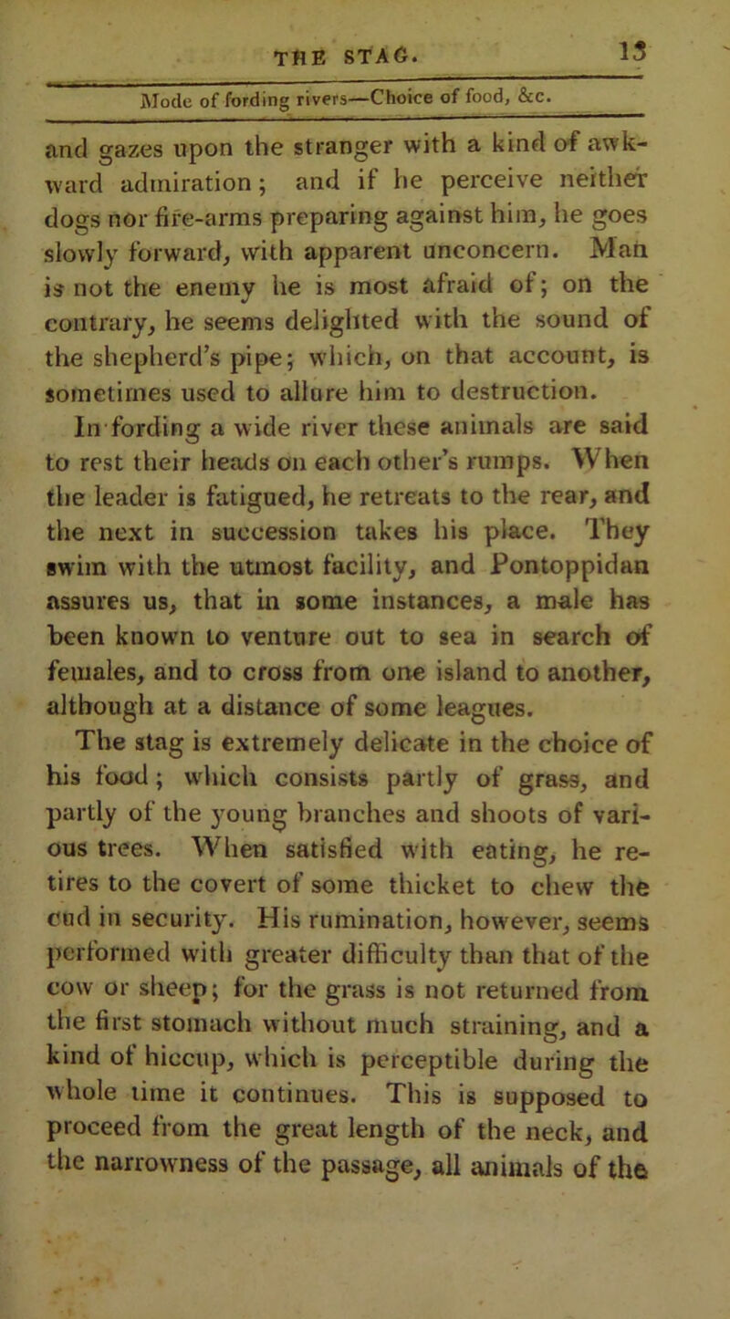 Mode of fording rivers—Choice of food, &c. and gazes upon the stranger with a kind of awk- ward admiration; and if he perceive neither dogs nor fire-arms preparing against him, he goes slowly forward, with apparent unconcern. Man is not the enemy he is most afraid of; on the contrary, he seems delighted with the sound of the shepherd’s pipe; which, on that account, is sometimes used to allure him to destruction. In fording a wide river these animals are said to rest their heads on eacli other’s rumps. When the leader is fatigued, he retreats to the rear, and the next in succession takes his place. They swim with the utmost facility, and Pontoppidan assures us, that in some instances, a male has been known to venture out to sea in search of females, and to cross from one island to another, although at a distance of some leagues. The stag is extremely delicate in the choice of his food ; which consists partly of grass, and partly of the young branches and shoots of vari- ous trees. When satisfied with eating, he re- tires to the covert of some thicket to chew the cud in security. His rumination, however, seems performed with greater difficulty than that of the cow or sheep; for the grass is not returned from the first stomach without much straining, and a kind of hiccup, which is perceptible during the whole lime it continues. This is supposed to proceed from the great length of the neck, and the narrowness of the passage, all animals of the