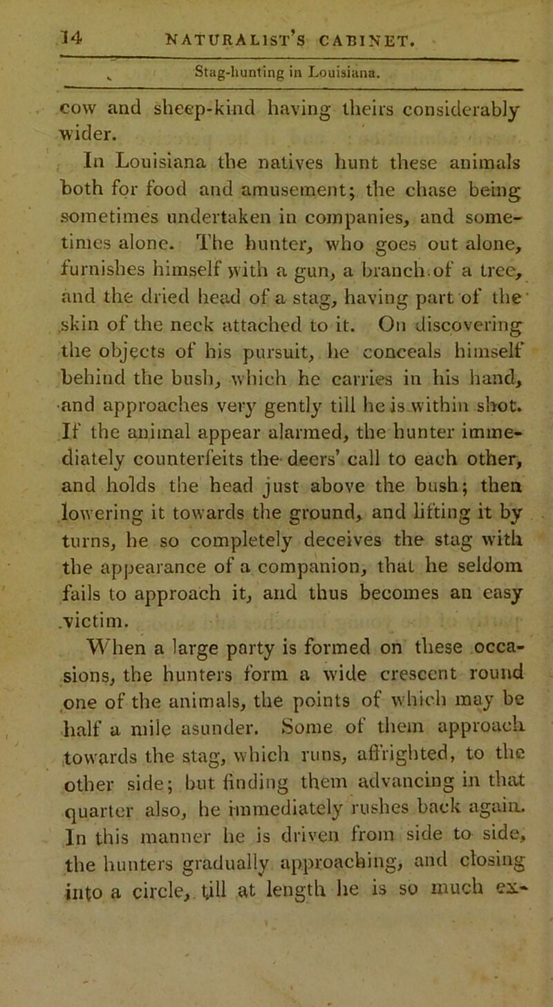 Stag-liunting in Louisiana. cow and sheep-kind having theirs considerably wider. In Louisiana the natives hunt these animals both for food and amusement; the chase being sometimes undertaken in companies, and some- times alone. The hunter, who goes out alone, furnishes himself yvith a gun, a branch, of a tree, and the dried head of a stag, having part of the skin of the neck attached to it. On discovering the objects of his pursuit, he conceals himself behind the bush, which he carries in his hand, ■and approaches very gently till he is within shot. If the animal appear alarmed, the hunter imme- diately counterfeits the deers’ call to each other, and holds the head just above the bush; then lowering it towards the ground, and lifting it by turns, he so completely deceives the stag with the appearance of a companion, that he seldom fails to approach it, and thus becomes an easy victim. When a large party is formed on these occa- sions, the hunters form a wide crescent round one of the animals, the points of which may be half a mile asunder. Some of them approach towards the stag, which runs, affrighted, to the other side; but finding them advancing in that quarter also, he immediately rushes back again. In this manner he is driven from side to side, the hunters gradually approaching, and closing into a circle, fill at length he is so much ex-