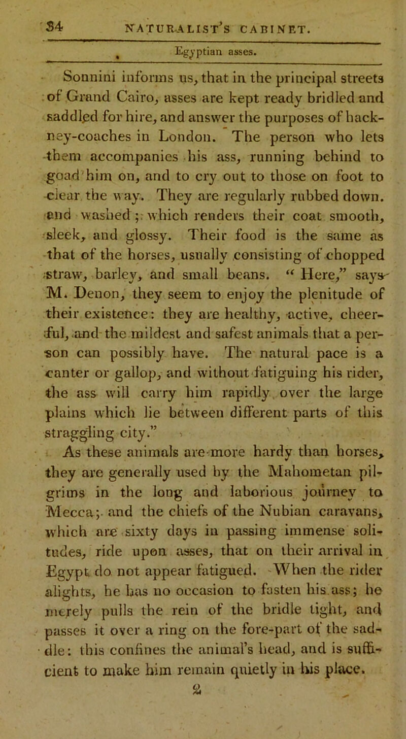 Egyptian asses. Sonnini informs us, that in the principal streets of Grand Cairo, asses are kept ready bridled and saddled for hire, and answer the purposes of hack- ney-coaches in London. The person who lets •them accompanies his ass, running behind to goad him on, and to cry out to those on foot to clear the way. They are regularly rubbed down, end washed which renders their coat smooth, sleek, and glossy. Their food is the same as that of the horses, usually consisting of chopped straw, barley, and small beans. “ Here,” says- M. Denon, they seem to enjoy the plenitude of their existence: they are healthy, active, cheer- ful, and the mildest and safest animals that a per- son can possibly have. The natural pace is a canter or gallop, and without fatiguing his rider, the ass will carry him rapidly over the large plains which lie between different parts of this straggling city.” > As these animals are more hardy than horses, they are generally used by the Mahometan pil- grims in the long and laborious journey to Mecca; and the chiefs of the Nubian caravans, which are sixty days in passing immense soli- tudes, ride upon asses, that on their arrival in Egypt do not appear fatigued. When the rider alights, he has no occasion to fasten his ass; he merely pulls the rein of the bridle tight, and passes it over a ring on the fore-part of the sad- dle: this confines the animal’s head, and is suffi- cient to make him remain quietly in his place. a