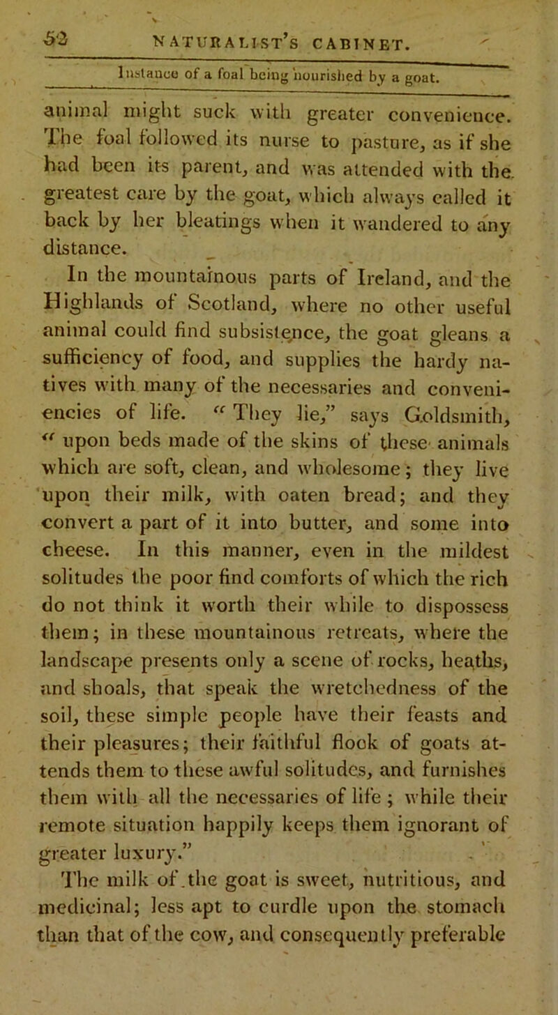 1 uslauco of a foal being 'nourished by a goat. animal might suck with greater convenience. I he foal followed its nurse to pasture, as if she had been it-s parent, and was attended with the. greatest care by the goat, which always called it back by her bleatings when it wandered to any distance. In the mountainous parts of Ireland, and the Highlands of Scotland, where no other useful animal could find subsistence, the goat gleans a sufficiency of food, and supplies the hardy na- tives with many of the necessaries and conveni- encies of life. « They lie,” says Goldsmith, “ upon beds made of the skins of these animals which are soft, clean, and wholesome; they live upon their milk, with oaten bread; and they convert a part of it into butter, and some into cheese. In this manner, even in the mildest solitudes the poor find comforts of which the rich do not think it worth their while to dispossess them; in these mountainous retreats, where the landscape presents only a scene of rocks, heaths, and shoals, that speak the wretchedness of the soil, these simple people have their feasts and their pleasures; their faithful flock of goats at- tends them to these awful solitudes, and furnishes them with all the necessaries of life ; while their remote situation happily keeps them ignorant of greater luxury.” The milk of.the goat is sweet, nutritious, and medicinal; less apt to curdle upon the stomach than that of the cow, and consequently preferable