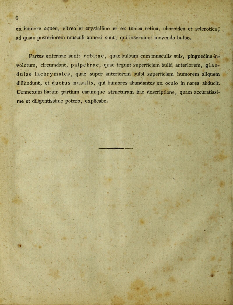 ex humore aqueo, vitreo et crystallino et ex tunica,retina, choroidea et sclerotica^ ad quam posteriorem musculi annexi sunt, qui inserviunt movendo bulbo. Partes externae sunt: orbitae, quae bulbum cum musculis suis, pinguedine ■in- volutum, circumdant, palpebrae, quae tegunt superficiem bulbi anteriorem, glan- dulae lachrjnnales, quae super anteriorem bulbi superficiem humorem aliquem diffundunt, et ductus nasalis, qui humores abundantes ex oculo in nares abducit. Connexum harum partium earumque structuram hac descriptione, quam accuratissi- me et diligentissime potero, explicabo. #