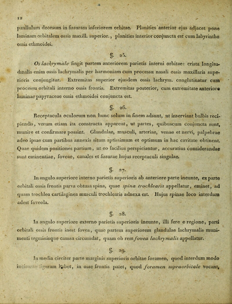 paullulum deorsum in fissuram inferiorem orbitae. Planities anterior ejus adjacet pone laminam orbitalem ossis maxill. superior., planities interior conjuncta est cum labyrintho ossis ethmoidei. §• ^5. Os lachrymale fingit partem anteriorem parietis interni orbitae: crista longitu- dinalis enim ossis lachrymalis per harmoniam cum processu nasali ossis maxillaris supe- rioris conjungitur. Extremitas superior ejusdem ossis lachiym. conglutinatur cum processu orbitali interno ossis frontis. Extremitas posterior, cum extremitate anteriore laminae papyraceae ossis ethmoidei conjuncta est. §. 26. Receptacula oculorum non hunc solum in finem adsunt, ut inserviant bulbis reci- piendis, verum etiam ita constructa apparent, ut partes, quibuscum conjuncta sunt, munire et confirmare possint. Glandulae, musculi, arteriae, venae et nervi, palpebrae adeo ipsae cum partibus annexis situm aptissimum et optimum in hac cavitate obtinent. Quae quidem positiones partium, ut eo facilius perspiciantur, accuratius considerandae sunt eminentiae, foveae, canales et fissurae hujus receptaculi singulae. §.27* • I11 angulo superiore interno parietis superioris ab anteriore parte ineunte, exparte orbitali ossis frontis parva obtusa spina, quae spina trochlearis appellatur, eminet, ad quam trochlea cartilaginea musculi trochlearis adnexa est. Hujus spinae loco interdum adest foyeola. S- 28. In angulo superiore externo parietis superioris ineunte, illi fere e regione, parti orbitali ossis frontis inest fovea, quae partem superiorem glandulae lachrymalis muni- menti tegminisque caussa circumdat, quam ob rem fovea lachrymalis appellatur.- ' - §• 29. In media circiter parte marginis superioris orbitae foramen, quod interdum modo incisura ‘guram l*ibet, in osse frontis patet, quod foramen supraorbitale vocant,