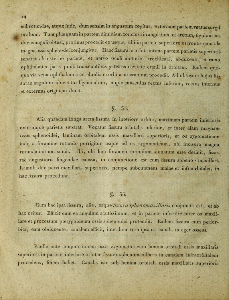 »4 * subrotundae, atque inde, dum sensim in angustum cogitur, externam partem versus surgit in altum. Tum plus quam in partem dimidiam conclusa in angustum et arctum, figuram in- duens anguli obtusi, protinus procedit eo usque, ubi in pariete superiore os frontis cum ala magna ossis sphenodei conjungitur. Haec fissura in orbi ta intima partem parietis superioris separat ab externo pariete, et nervo oculi motorio, trochleari, abducenti, et ramo ophthalmico paris quinti transeuntibus patet ex cavitate cranii in orbitam. Eadem quo- qua via vena ophthalmica cerebralis exorbita in cranium procedit. Ad obtusum hujus fis- surae angulum adnectitur ligamentum, a quo musculus rectus inferior, rectus internus et externus originem ducit. §• 35. Alia quaedam longa arcta fissura in interiore orbita, maximam partem inferioris externique parietis separat. Vocatur fissura orbitalis inferior, et inter alam magnam ossis sphenoidei, laminam orbitalem ossis maxillaris superioris, et os zygomaticum inde a foramine rotundo porrigitur usque ad os zygomaticum, ubi incisura magna rotunda initium sumit. Ibi, ubi hoc foramen rotundum sinuatum esse desinit, fissu- rae angustioris fingendae caussa, in conjunctione est cum fissura spheno - maxillari. Ramuli duo nervi maxillaris superioris, nempe subcutaneus malae et infraorbitalis, in hac fissura procedunt. §. 56. Cum hac ipsa fissura, alia, eaque/Msw/vz'sphenomaxillaris conjuncta est, et ab hac oritur. Efficit cum ea angulum acutissimum, et in pariete inferiore inter os maxil- lare et processum pterygoideum ossis sphenoidei protendit. Eadem fissura cum perior- bita, eam obducente, canalem efficit, interdum vero ipsa est canalis integer osseus. Paullo ante conjunctionem ossis zygomatici cum lamina orbitali ossis maxillaris superioris in pariete inferiore orbitae fissura sphenomaxillaris in canalem infraorbitalem procedens, finem habet. Canalis iste sub lamina orbitali ossis maxillaris superioris