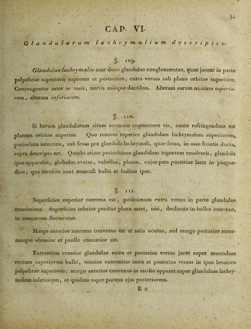 CAP- VI- Glandularum l a'chrymalium descriptio. §• 109* Glandulae lachrymales sunt duae glandulae conglomeratae, quae jacent in parte palpebrae superioris suprema et posteriore, extra versus sub plano orbitae superiore. Conjunguntur inter se vasis, nervis suisque ductibus. Alteram earum nomino superio- rem* alteram inferiorem. §. no. Si harum glandularum situm accurate cognoscere vis, caute refringendum est planum orbitae superius. Quo remoto reperies glandulam lachrymalem superiorem, periorbita intectam, sub fos&a pro glandula lacluymali, quae fossa, in osse frontis ducta, supra descripta est. Quodsi etiam periorbitam glandulam tegentem resolveris, glandula ipsa apparebit, globulus ovatus, rubellus, planus, cujus pars posterior latet in pingue- dine , qua involuti sunt musculi bulbi et bulbus ipse. §. in. Superficies superior convexa est , potissimum extra versus in parte glandulae crassissima. Superficies inferior penitus plana esset, nisi, declinata in bulbo convexo, in concavum flecteretur. Margo anterior internus convexus est et satis acutus, sed margo posterior exter- nusque obtusior et paullo concavior est. Extremitas crassior glandulae extra et posterius versus jacet super musculum rectum superiorem bulbi, tenuior extremitas intra et posterius versus in ipso levatore palpebrae superioris; margo anterior convexus in medio apparet super glandulam lachry- malem inferiorem, et quidem super partem ejus posteriorem. E 2