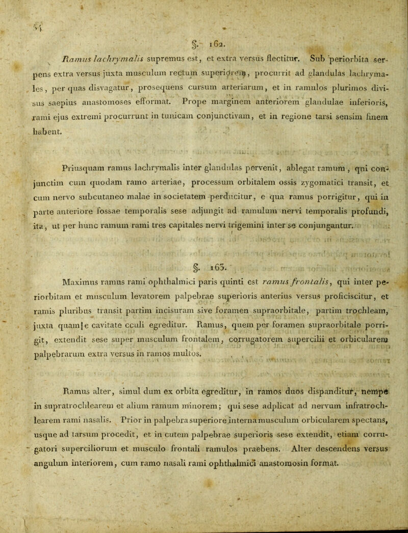 Piamus lachrymalis supremus est, et extra versus flectitur. Sub 'periorbita ser- pens extra versus juxta musculum rectum superiOreitj, procurrit ad glandulas lachryma- les , per quas disvagatur, prosequens cursum arteriarum, et in ramulos plurimos divi- sus saepius anastomoses efformat. Prope marginem anteriorem glandulae inferioris, rami ejus extremi procurrunt in tunicam conjunctivam, et in regione tarsi sensim finem habent. '* 1 ' ». i ‘ v.- ■■ .* * - • -SiJ* ' j . ;1 • “ ’v Priusquam ramus lachrymalis inter glandulas pervenit, ablegat ramum , qni con- junctim cum quodam ramo arteriae, processum orbitalem ossis zygomatici transit, et cura nervo subcutaneo malae in societatem perducitur, e qua ramus porrigitur, qui in parte anteriore fossae temporalis sese adjungit ad ramulum nervi temporalis profundi, ita, ut per hunc ramum rami tres capitales nervi trigemini inter se conjungantur. §. .65. Maximus ramus rami ophthalmici paris quinti est ramus frontalis, qui inter pe- riorbitam et musculum levatorem palpebrae superioris anterius versus proficiscitur, et ramis pluribus transit partim incisuram sive foramen supraorbitale, partim trochleam, juxta quam|e cavitate cculi egreditur. Piamus, quem per foramen supraorbitale porri- git, extendit sese super musculum frontalem, corrugatorem supercilii et orbicularem palpebrarum extra versus in ramos multos. , , > Ramus alter, simul dum ex orbita egreditur, in ramos duos dispanditur, nempe in supratrochlearem et alium ramum minorem; qui sese adplicat ad nervum infratroch- learem rami nasalis. Prior in palpebra superiore interna musculum orbicularem spectans, usque ad tarsum procedit, et in cutem palpebrae superioris sese extendit, etiam corru- gatori superciliorum et musculo frontali ramulos praebens. Alter descendens versus angulum interiorem, cum ramo nasali rami ophthalmici anastomosin format.