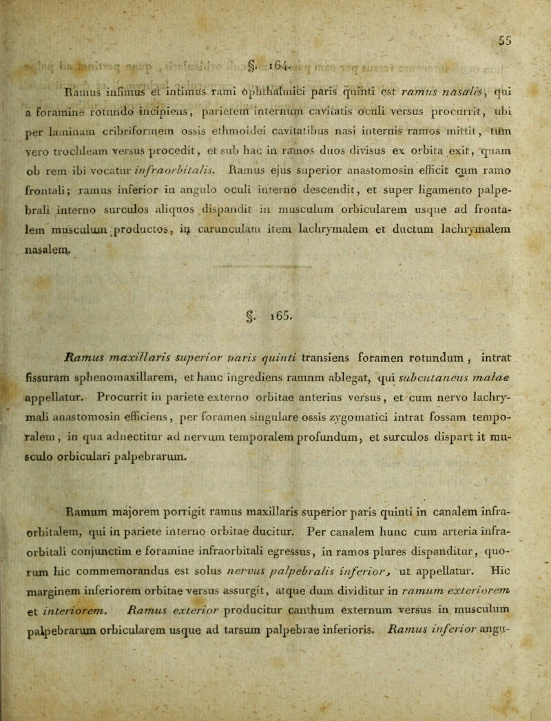 I !. 164- Ramus infimus et intimus rami ophthalmici paris quinti est ramus nasalis, qui a foramine rotundo incipiens, parietem internum cavitatis oculi versus procurrit, ubi per laminam cribriformem ossis ethmoidei cavitatibus nasi internis ramos mittit, tum vero trochleam versus procedit , et sub hac in ramos duos divisus ex orbita exit, quam ob rem ibi vocatur infraorbitalis. Ramus ejus superior anastomosin efficit cum ramo frontali; ramus inferior in angulo oculi interno descendit, et super ligamento palpe- brali interno surculos aliquos dispandit in musculum orbicularem usque ad fronta- lem muscidum productos, irj carunculam item lachrymalem et ductum lachrymalem nasalem- §. i65. Ramus maxillaris superior varis quinti transiens foramen rotundum , intrat fissuram sphenomaxillarem, et hanc ingrediens ramnm ablegat, qui subcutaneus malae appellatur. Procurrit in pariete externo orbitae anterius versus, et cum nervo lachry- mali anastomosin efficiens, per foramen singulare ossis zygomatici intrat fossam tempo- ralem, in qua adnectitur ad nervum temporalem profundum, et surculos dispart it mu- sculo orbiculari palpebrarum. Ramum majorem porrigit ramus maxillaris superior paris quinti in canalem infra- orbitalem, qui in pariete interno orbitae ducitur. Per canalem hunc cum arteria infra- orbitali conjunctim e foramine infraorbitali egressus, in ramos plures dispanditur, quo- rum ldc commemorandus est solus nervus palpebralis inferior* ut appellatur. Hic marginem inferiorem orbitae versus assurgit, atque dum dividitur in ramum exteriorem et interiorem. Ramus exterior producitur canthum externum versus in musculum palpebrarum orbicularem usque ad tarsum palpebrae inferioris. Ramus inferior angu-