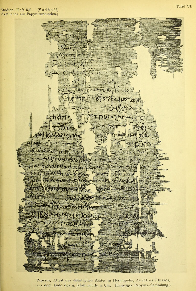 Studien - Heft 5/6. (S u d h o f f, Ärztliches aus Papyrusurkunden.) Tafel VT Papyrus, Attest des öffentlichen Arztes in Hermupolis, Aurelios Plusios, aus dem Ende des 4. Jahrhunderts n. Chr. (Leipziger Papyrus - Sammlung.)