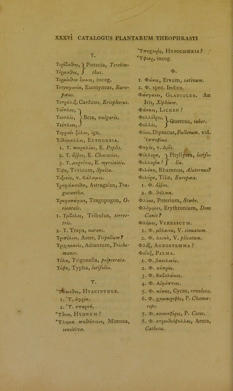 T. Tt(>'i€iv3-o(, ■) Pistacia, Tcrebin- TigfuvSos, J thus. TceftnSou 0/2010;, incog. Tsrpayuvix, Euonymus, Euro- pcSUS. TsrgdXii?, Carduus, Eriophorus. TivrXo;, Y TiurXi;, >Beta, ■vulgaris. TsvrXiov, J Tiyg/vbv !-uXov, ign. TM/txXXo;, Euphorbia. 1. T. zra^xXia;, E. Peplis. 2. T. olppnv, E. Characias. 3. T. fj-vorin;, E. myrsinitis. TIpn, Triticum, Spelta. To%ixo;, V. KaXapto;. Tf aydxoov^a, Astragalus, Tra- gacantha. Tgayosruyaw, Tragopogon, 0- rientalc. I. TplSoXo;, Tribulus, terres- tris. 2- T. Trapa, natans. TgrroXiov, Aster, Tripolium ? T^Xo/juzv'i:, Adiantum, Tricho- manes. TvXv, Trigonella, poljccrata. Tutpr,, Typha, latfolia. T. 'T^*iv$«s, Hyacinthus. 1. 'T. uygia. 2. 'T. troraorri. tSvov, I-Iydnum ? “TXttfia zraB-ririxon, Mimosa, sensitiva. 'Ttroxoigif, Hypochceris? t<ptu%, incog. 1. <t>ilxo;, Ervum, sativum. 2. 0. spec. Indica. 0ucryutioii, GLADIOLUS. An Iris, Xiphium. 0«<iKos, Lichen ? ^ . > Quercus, suber. 0tXXos, J Dipsacus,.FV/o«Kra. vid. 'lorcrotpiu;, ’Vryo;, v. Apt!;. <t>ixxugu, y Phyllyrea, latifo- 0iXXugix ? J Ha. 0iXbxn, Rhamnus, Alaternus? 0/Xv^a, Tilia, Europtca. I. 0. dpptiv. 2.0. SiiXeta. <t>Xsco;, Poterium, Stoebe. <t>Xoyifiov, Erythronium, Dens Canis ? 0x0/20;, Verbascum. 1. 0. /xiXuiva, V. sinuatum. 2. 0. Xiuxb, V. plicatum. 0Xo%, Agrostemma ? 0«mi-, Palma. 1. 0. /bocoiXixo;. 2. 0. xvcrp/io;. 3. 0. BocSuXcvvio;. 4. 0. AiyoTno;. 5. 0. xuxa;, Cycas, revoluta. 6. ‘J’. xapaugnphs, P. Cham<x- rops. J, 0. xovxiopi/tos, P. Cocos. 8. 0. ff'rgovS-foipuXXos, Areca, Cathccu.